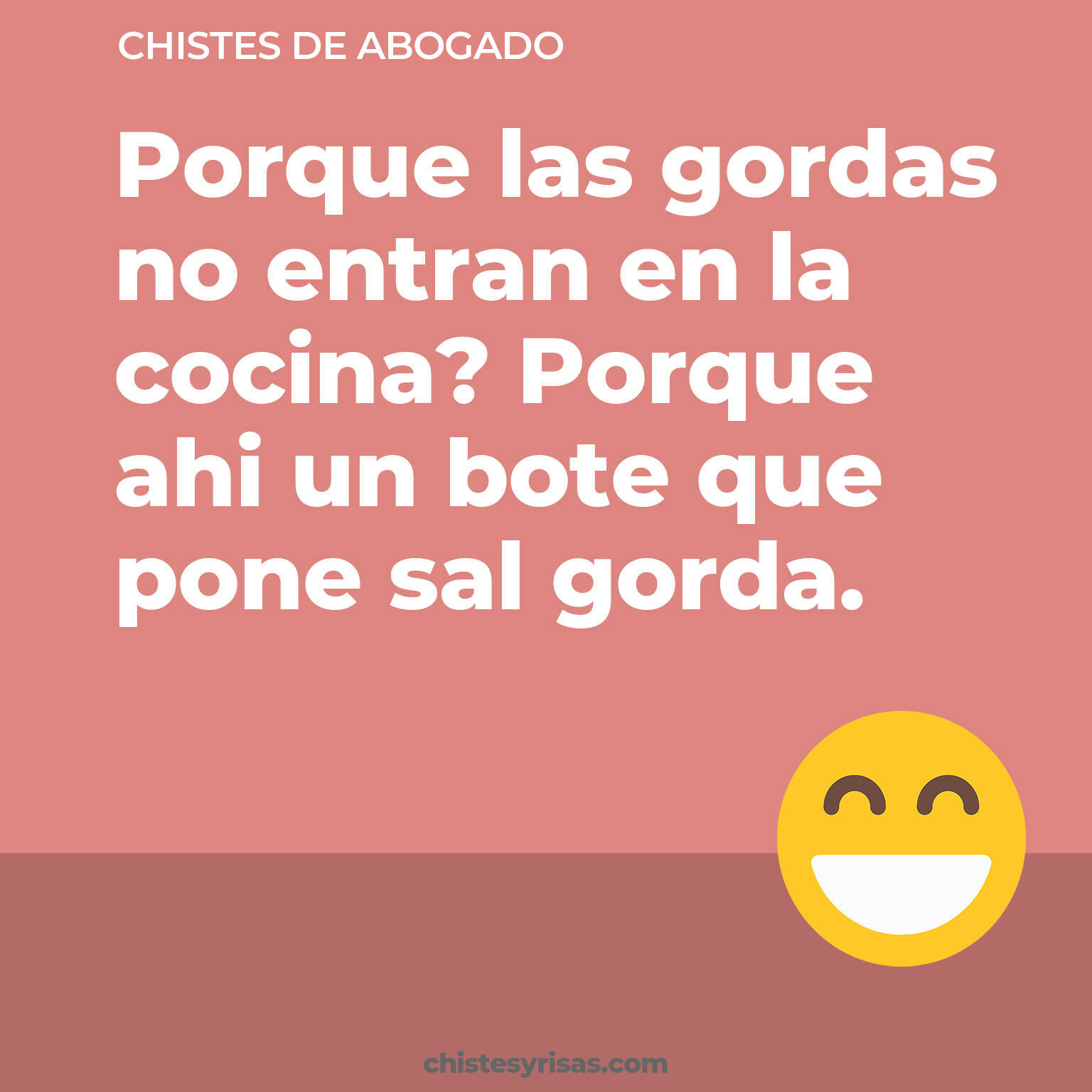 chistes de Abogado cortos