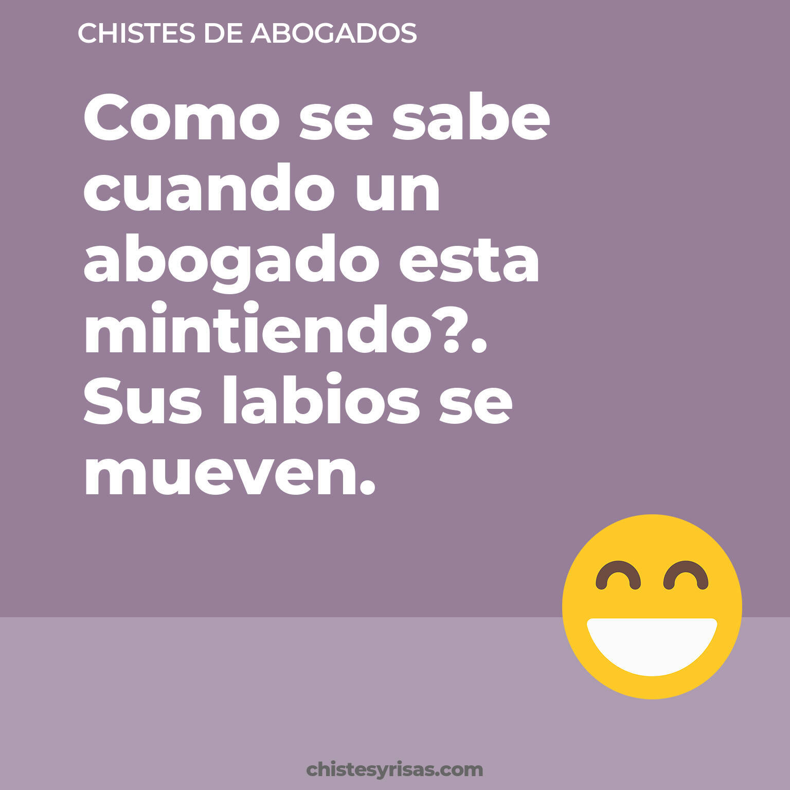 chistes de Abogados más graciosos