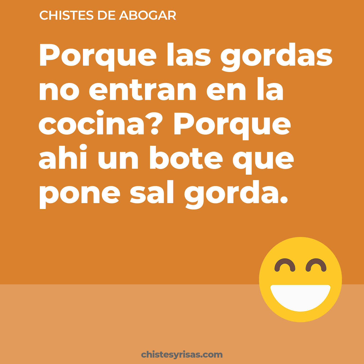 chistes de Abogar cortos