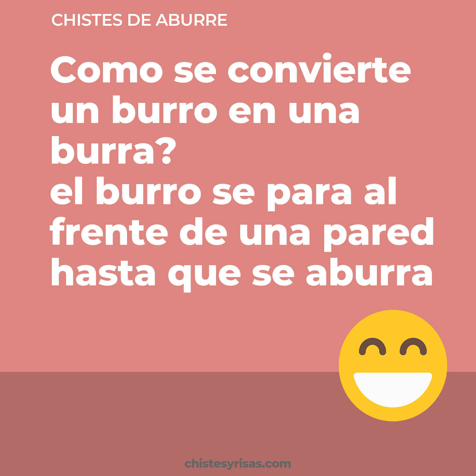 chistes de Aburre cortos