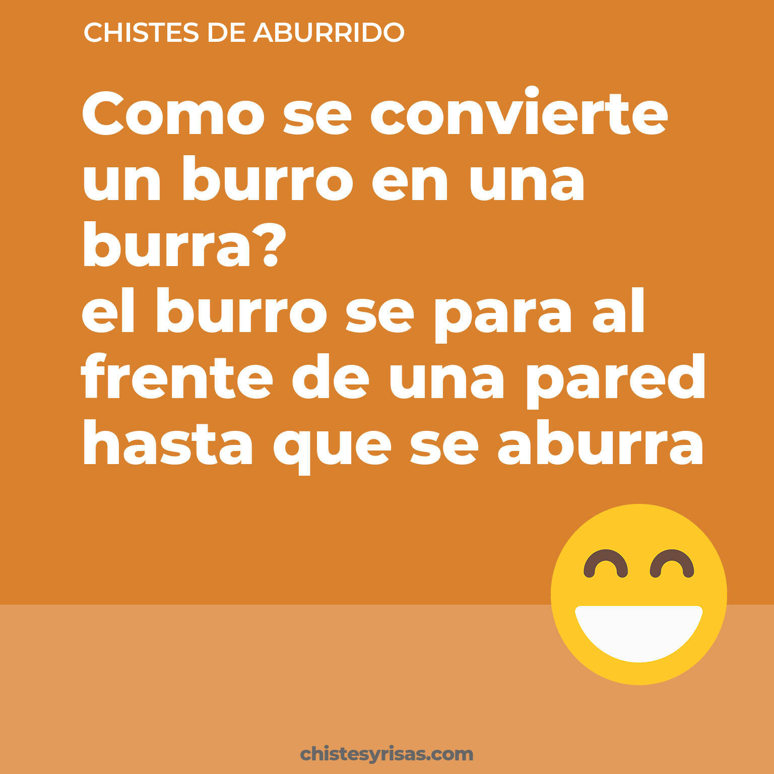 chistes de Aburrido cortos