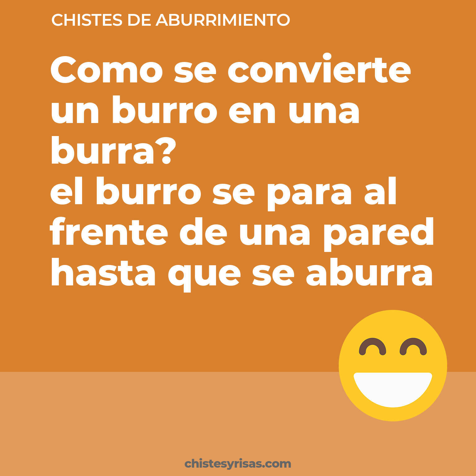 chistes de Aburrimiento cortos