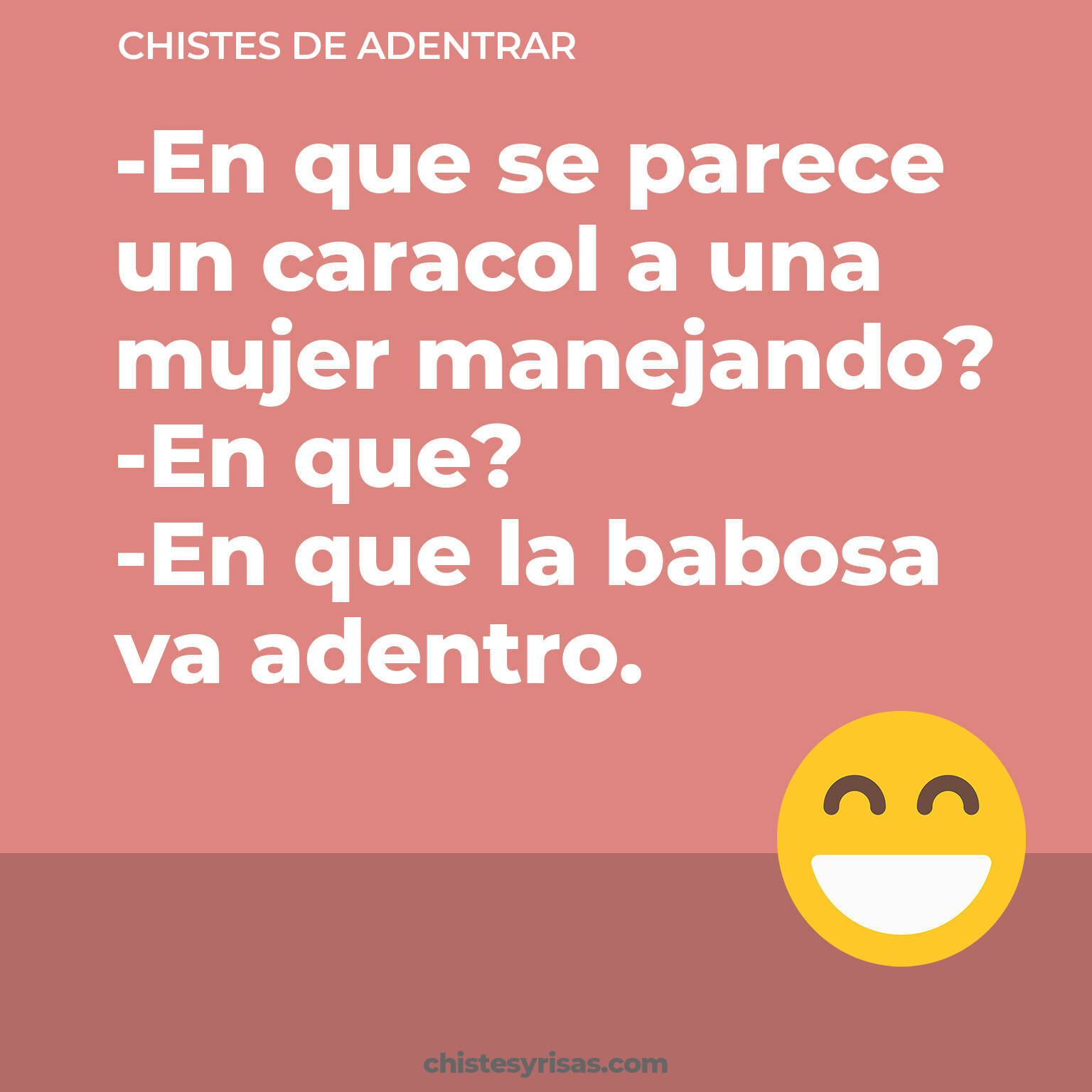 chistes de Adentrar más graciosos