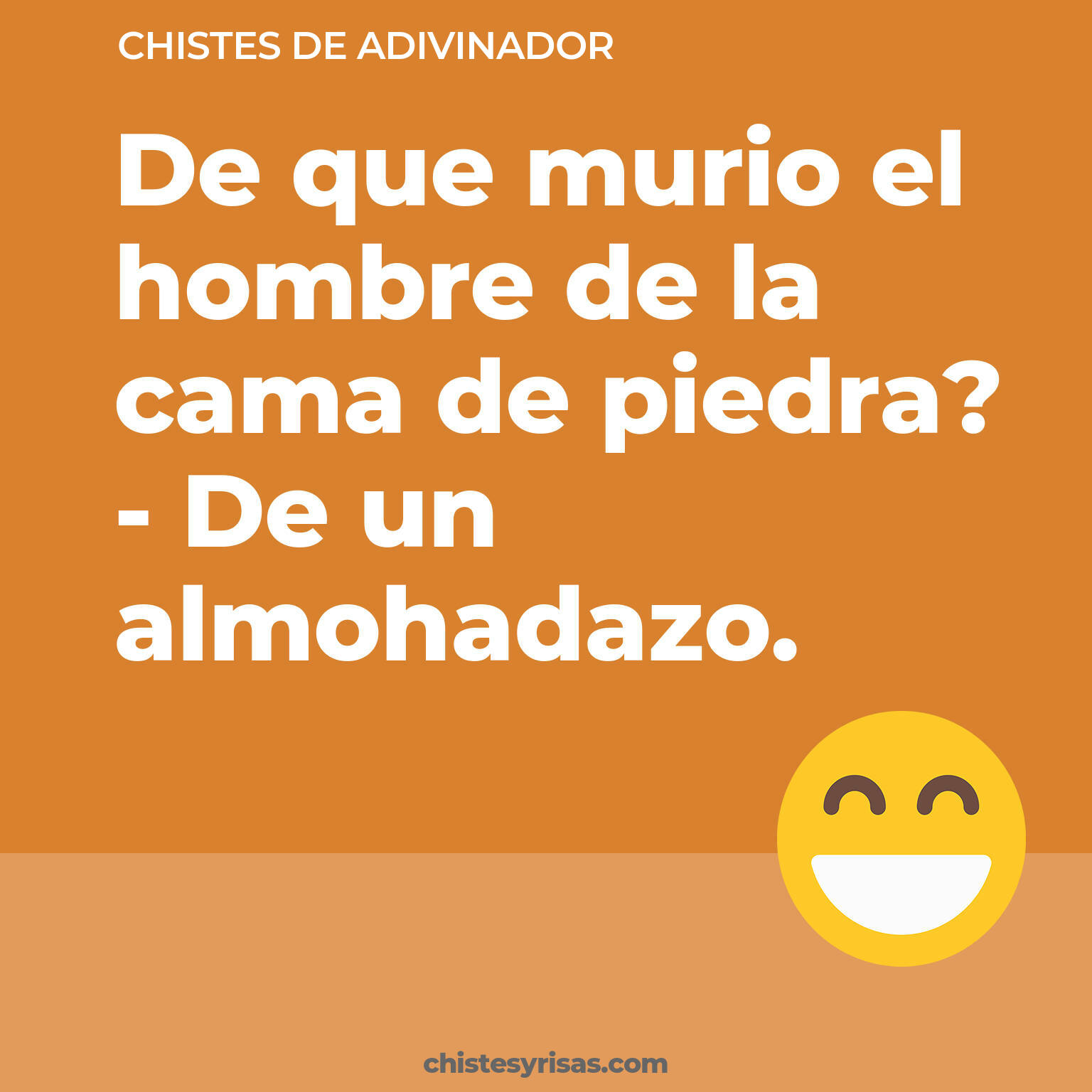 chistes de Adivinador cortos
