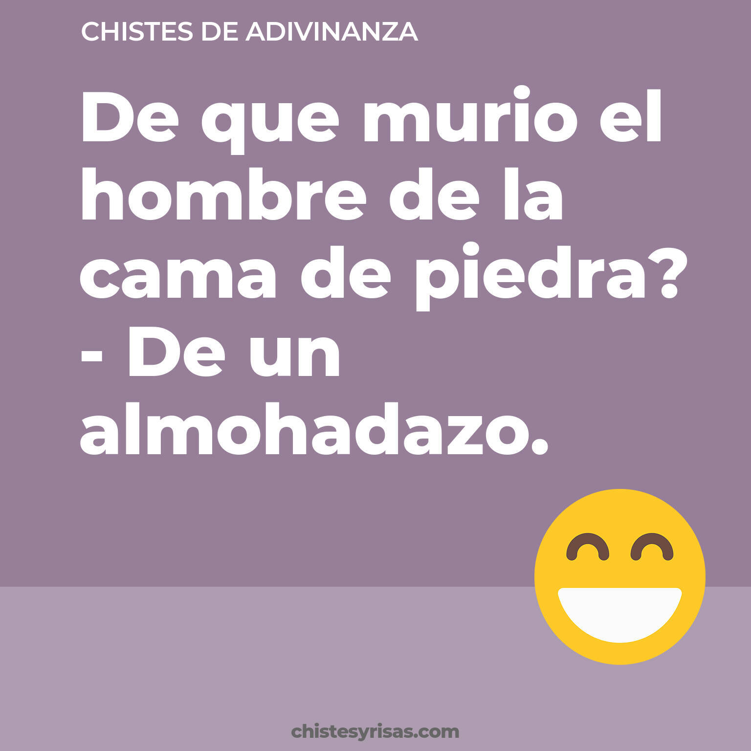 chistes de Adivinanza cortos