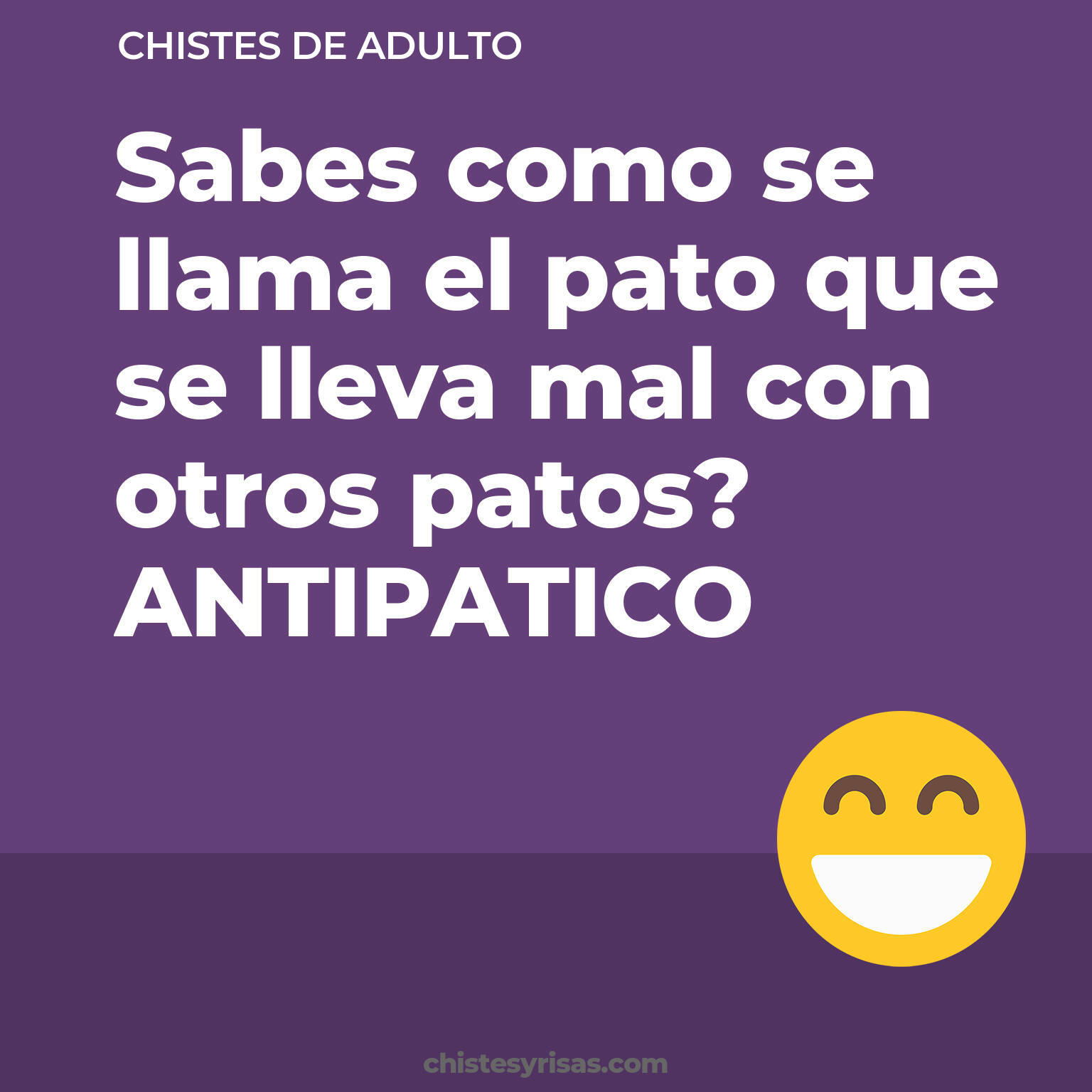 chistes de Adulto cortos