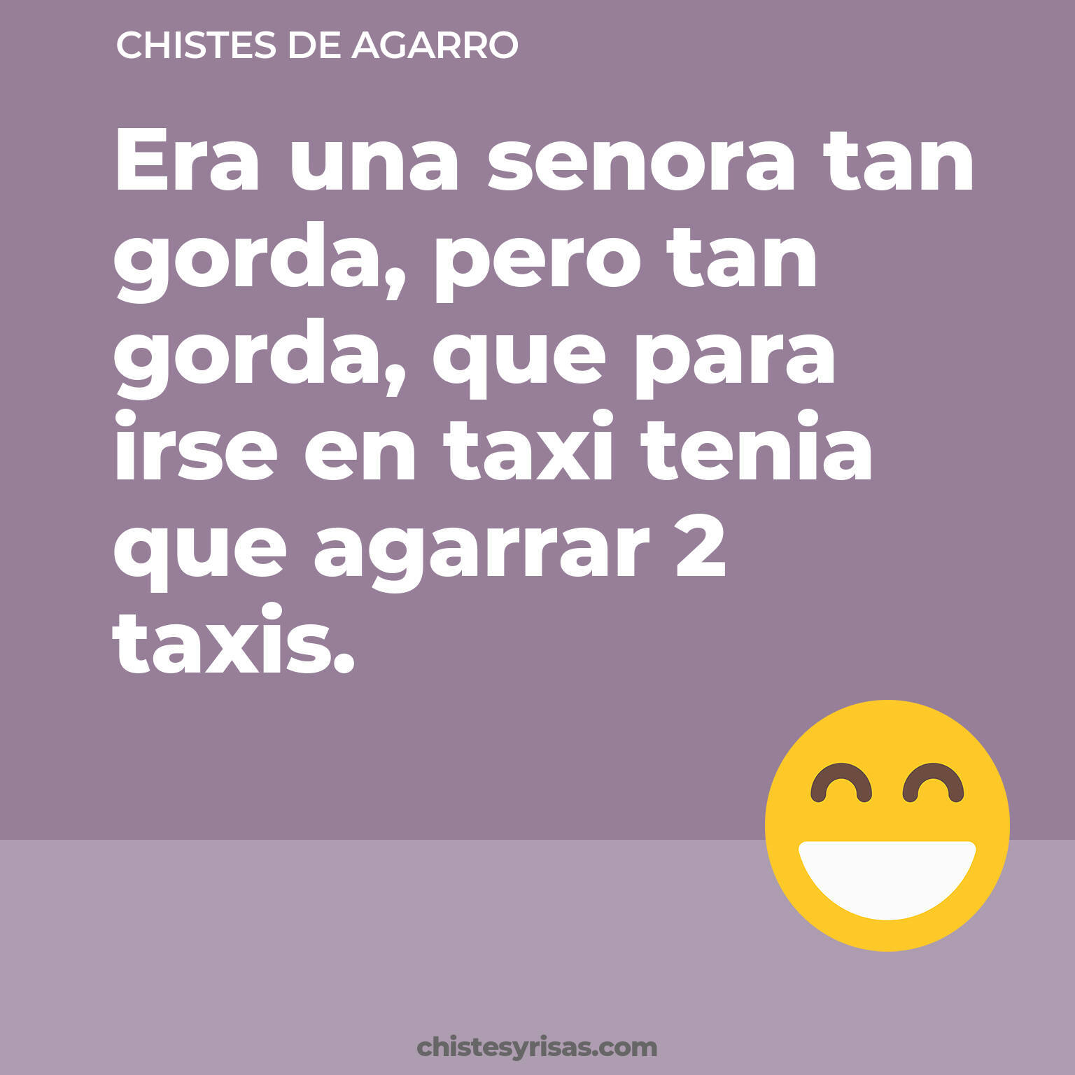 chistes de Agarro cortos