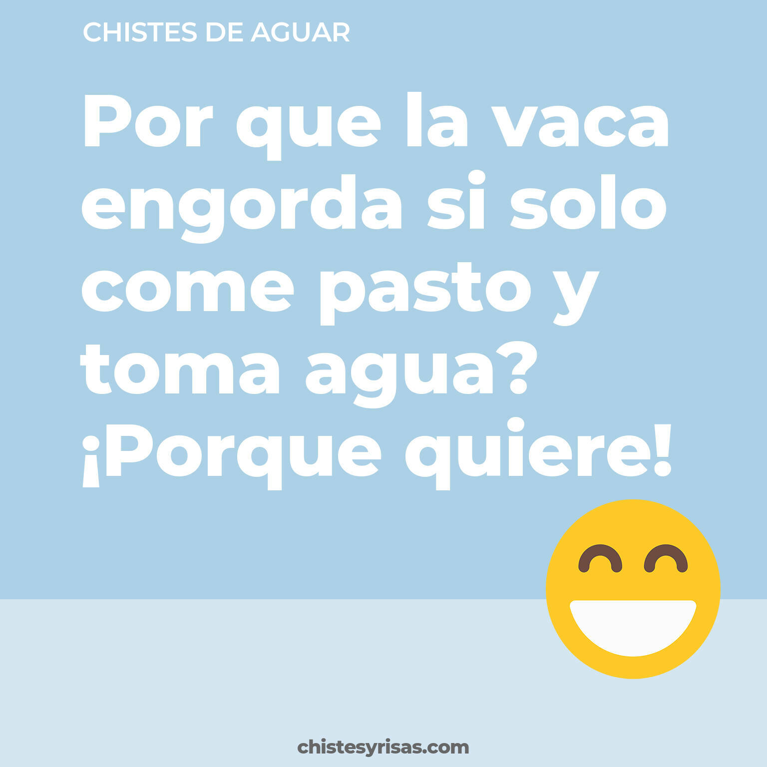 chistes de Aguar cortos