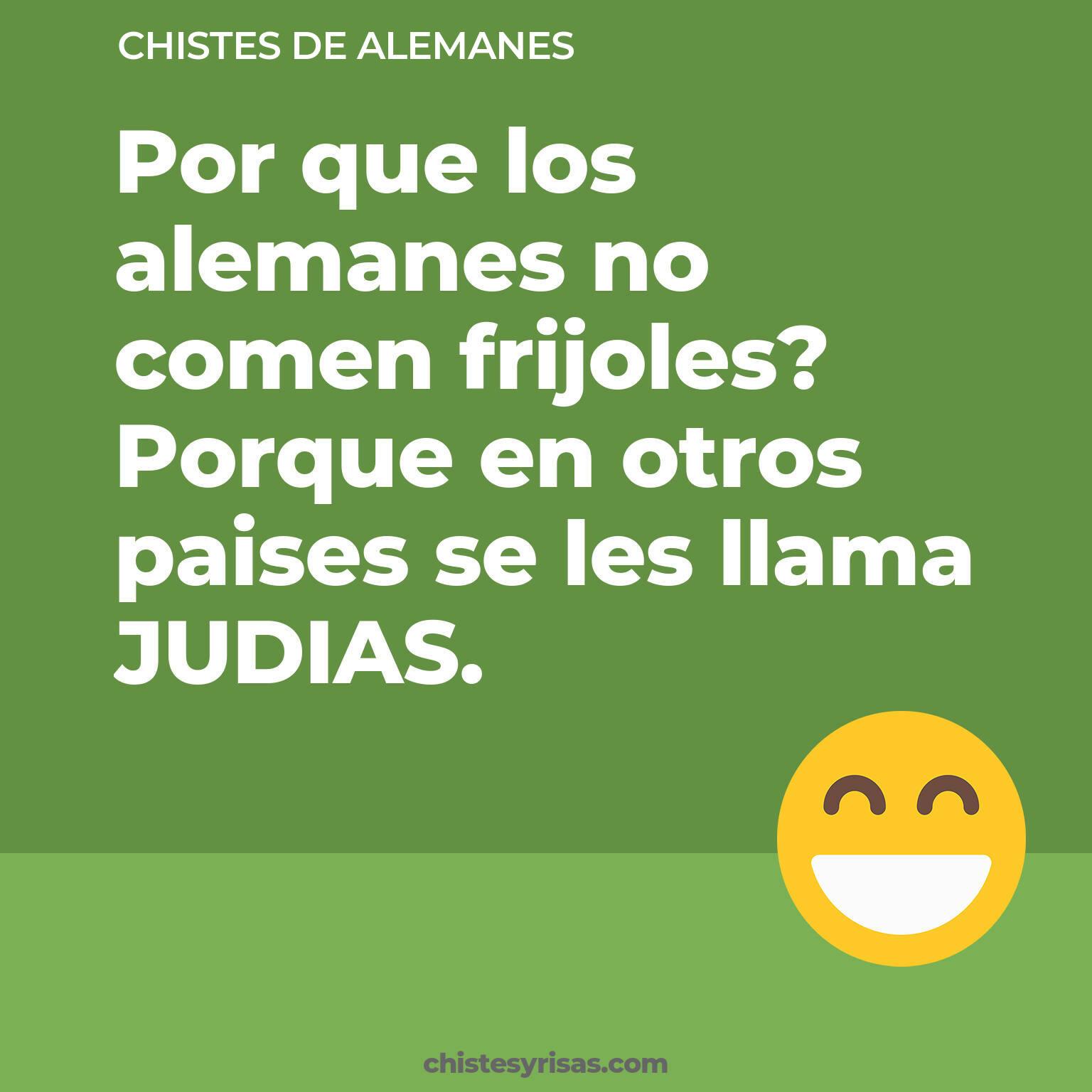 chistes de Alemanes cortos