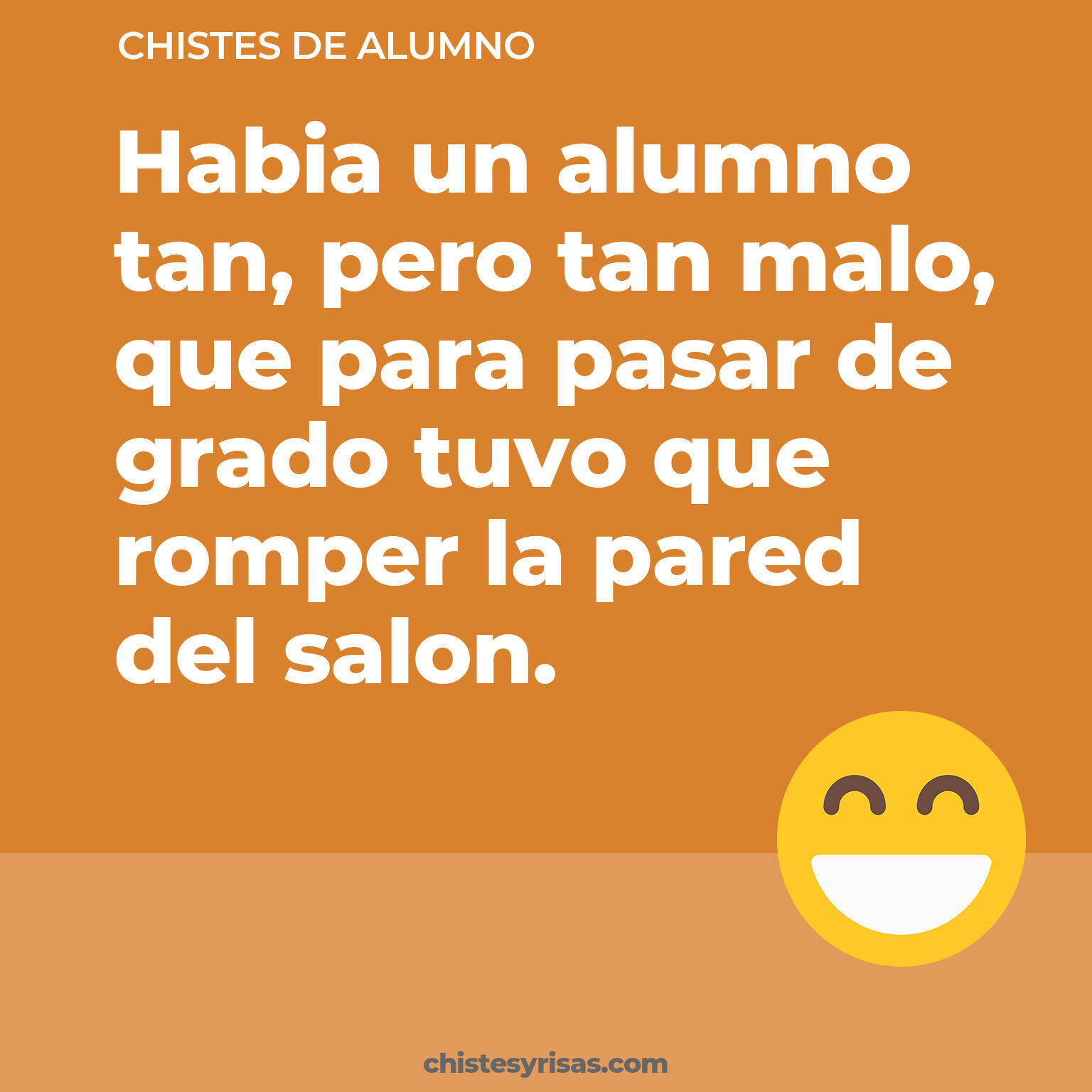 chistes de Alumno cortos