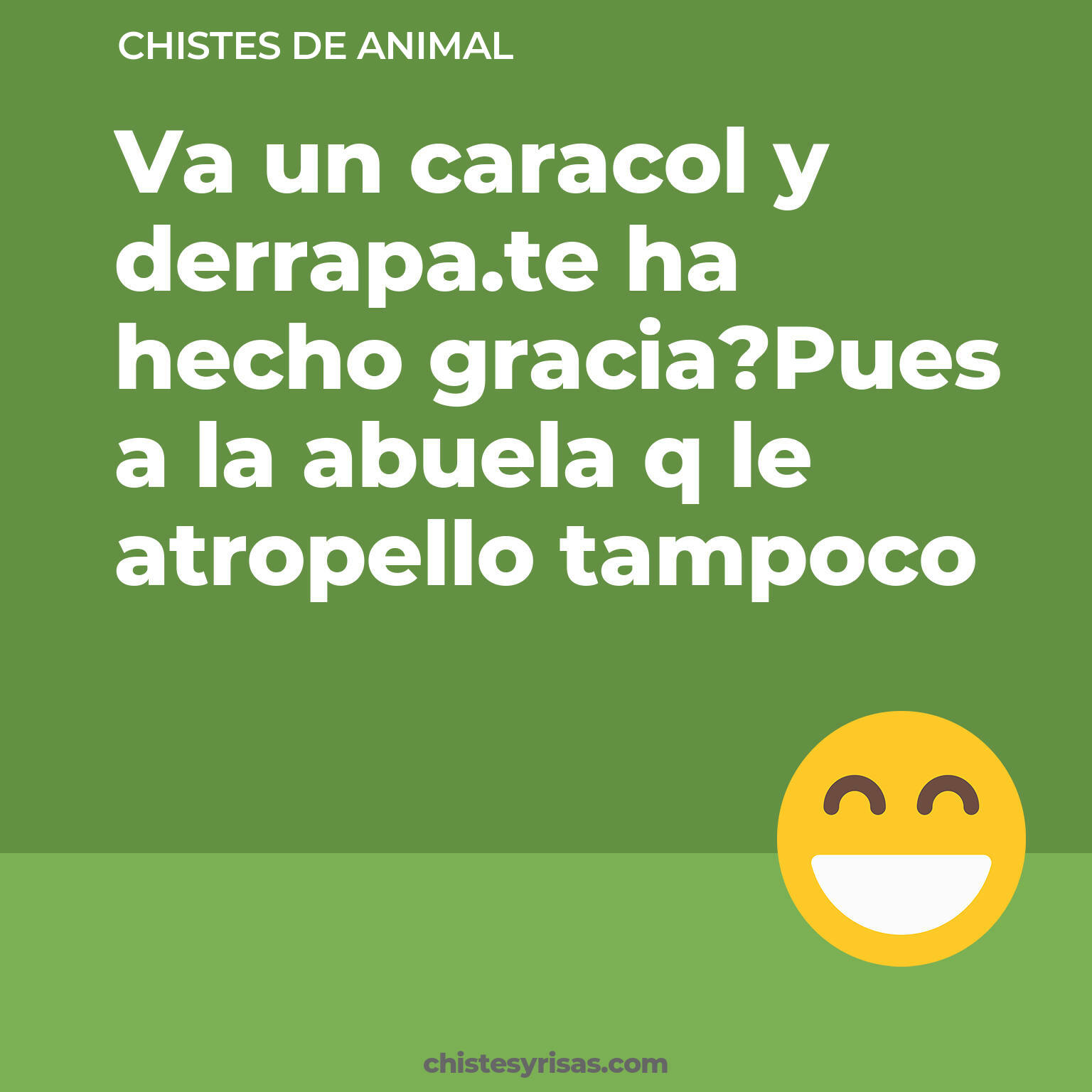 chistes de Animal más graciosos