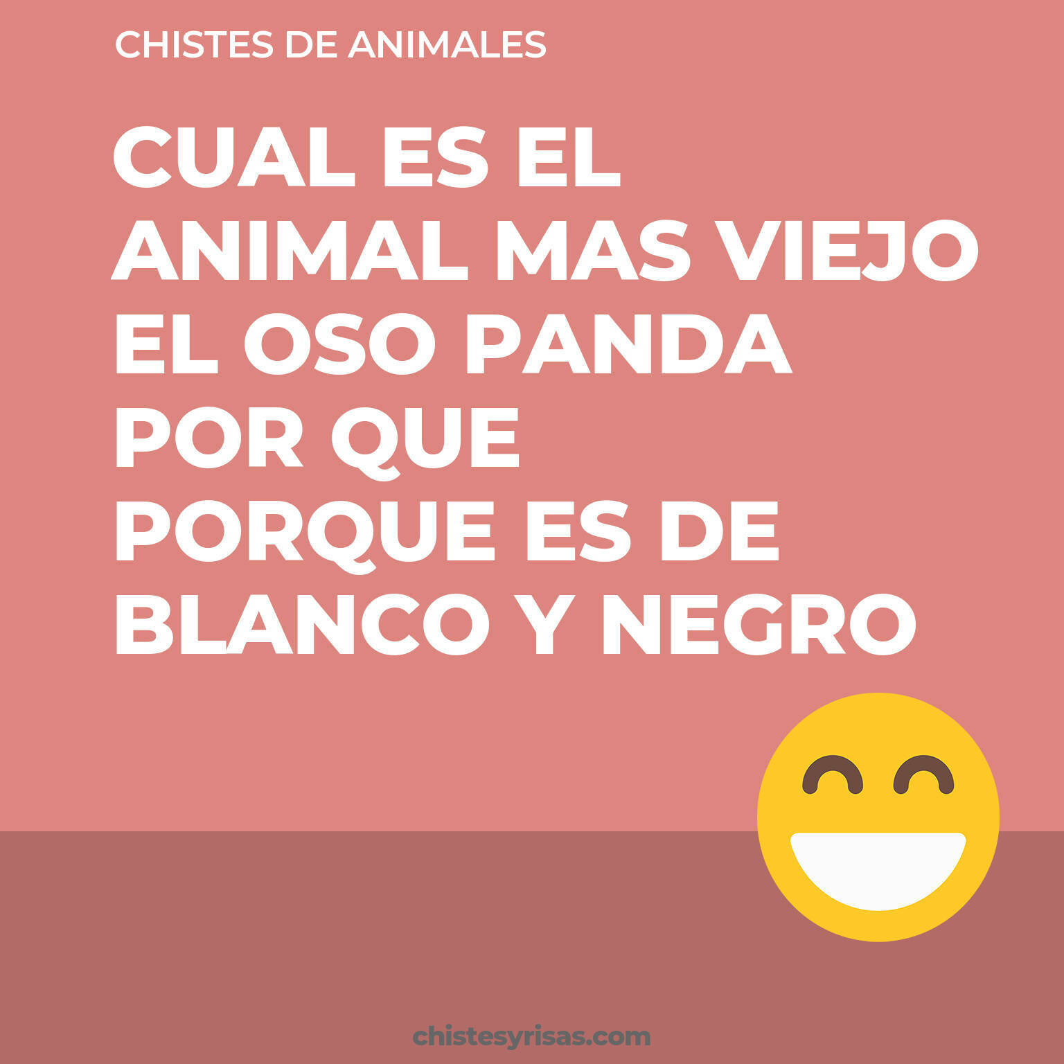 chistes de Animales buenos