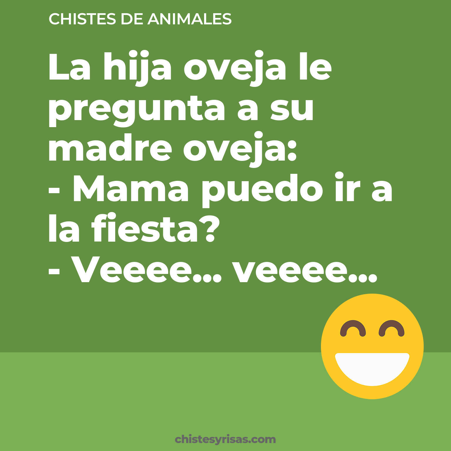 chistes de Animales cortos