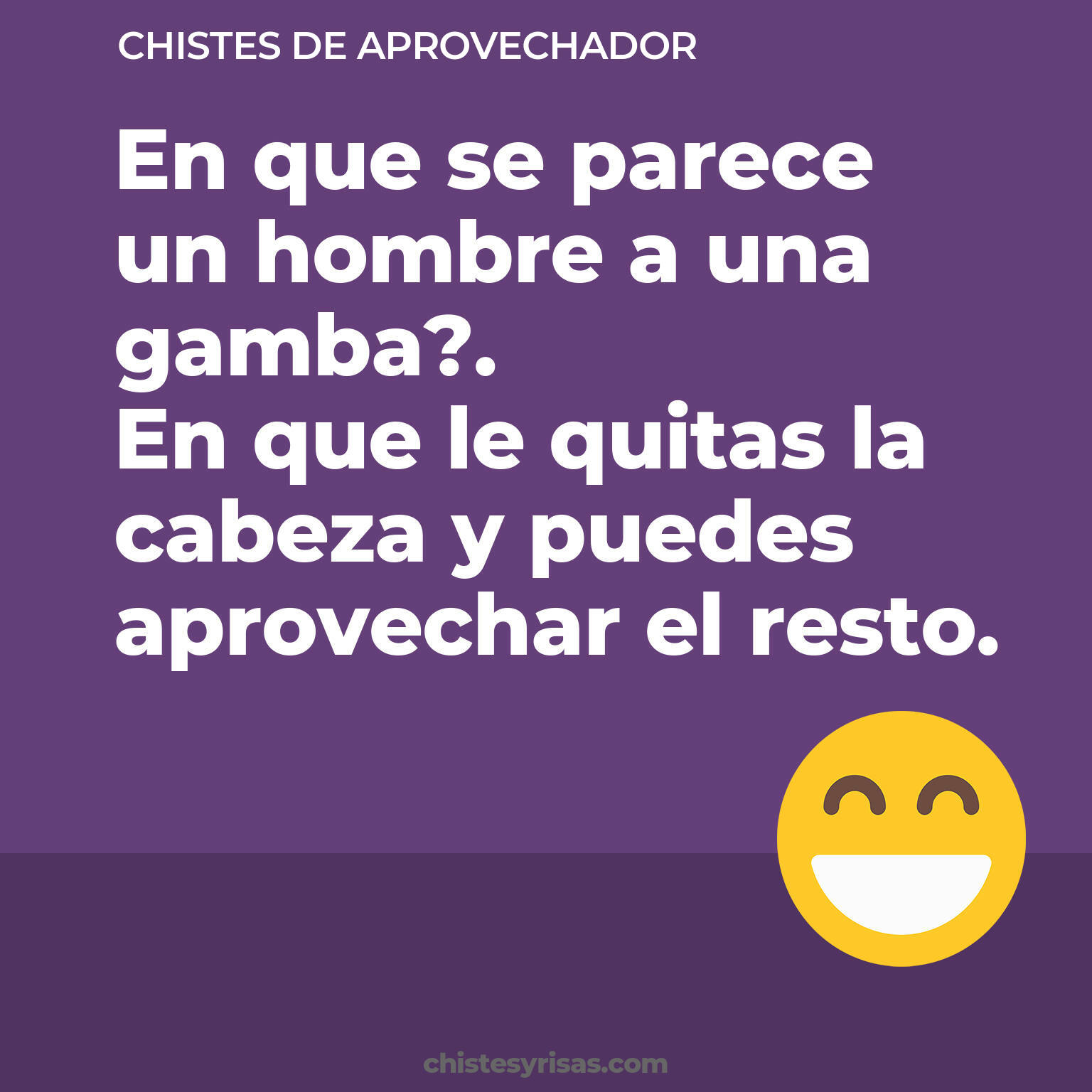 chistes de Aprovechador buenos