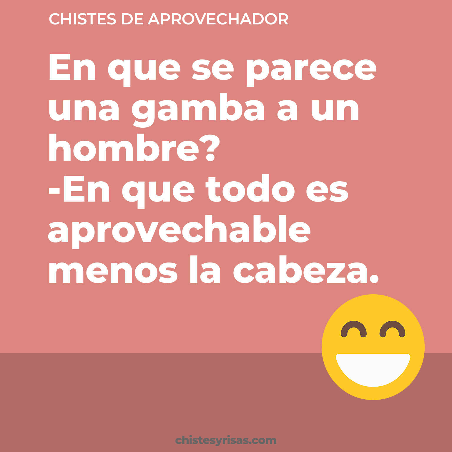 chistes de Aprovechador más graciosos