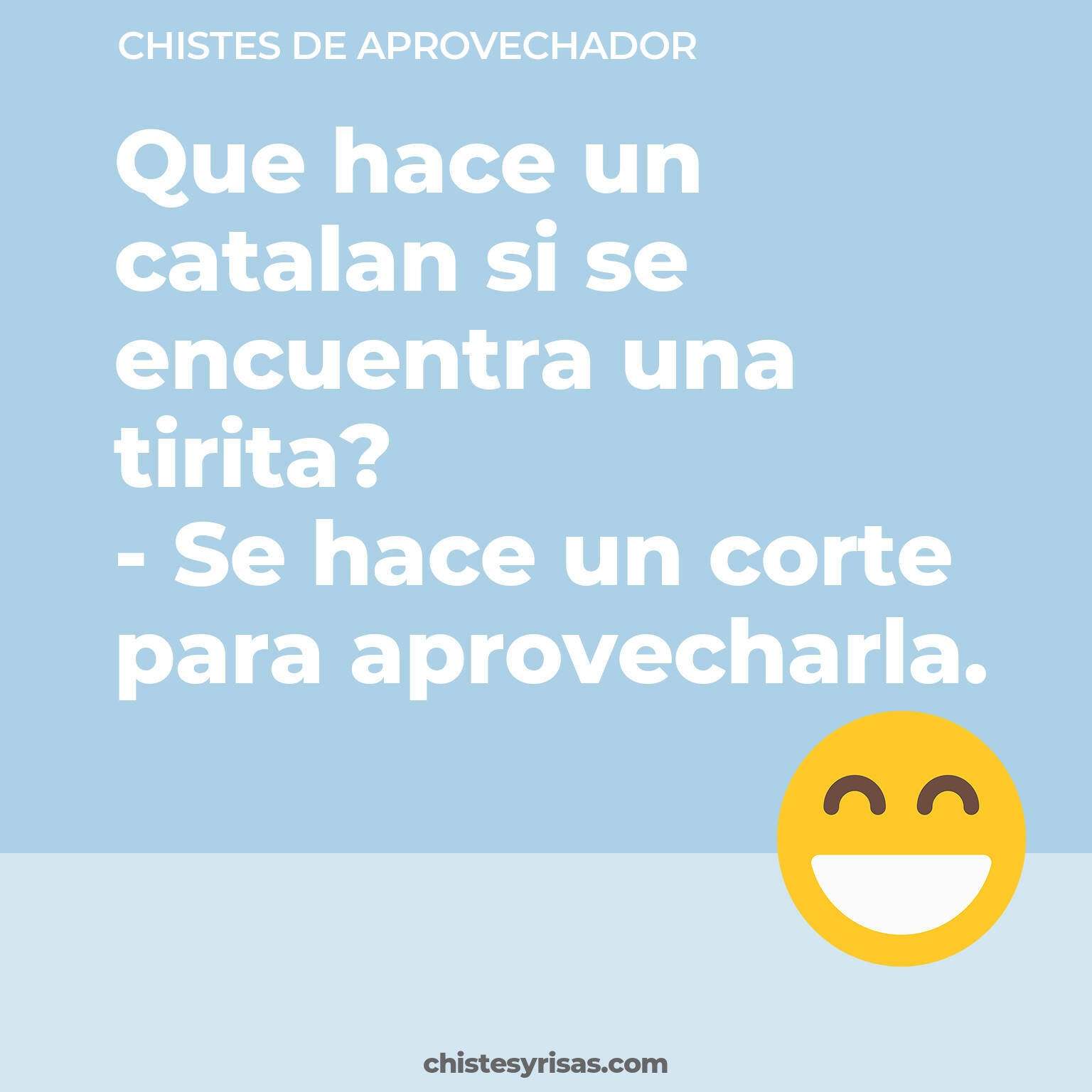 chistes de Aprovechador cortos