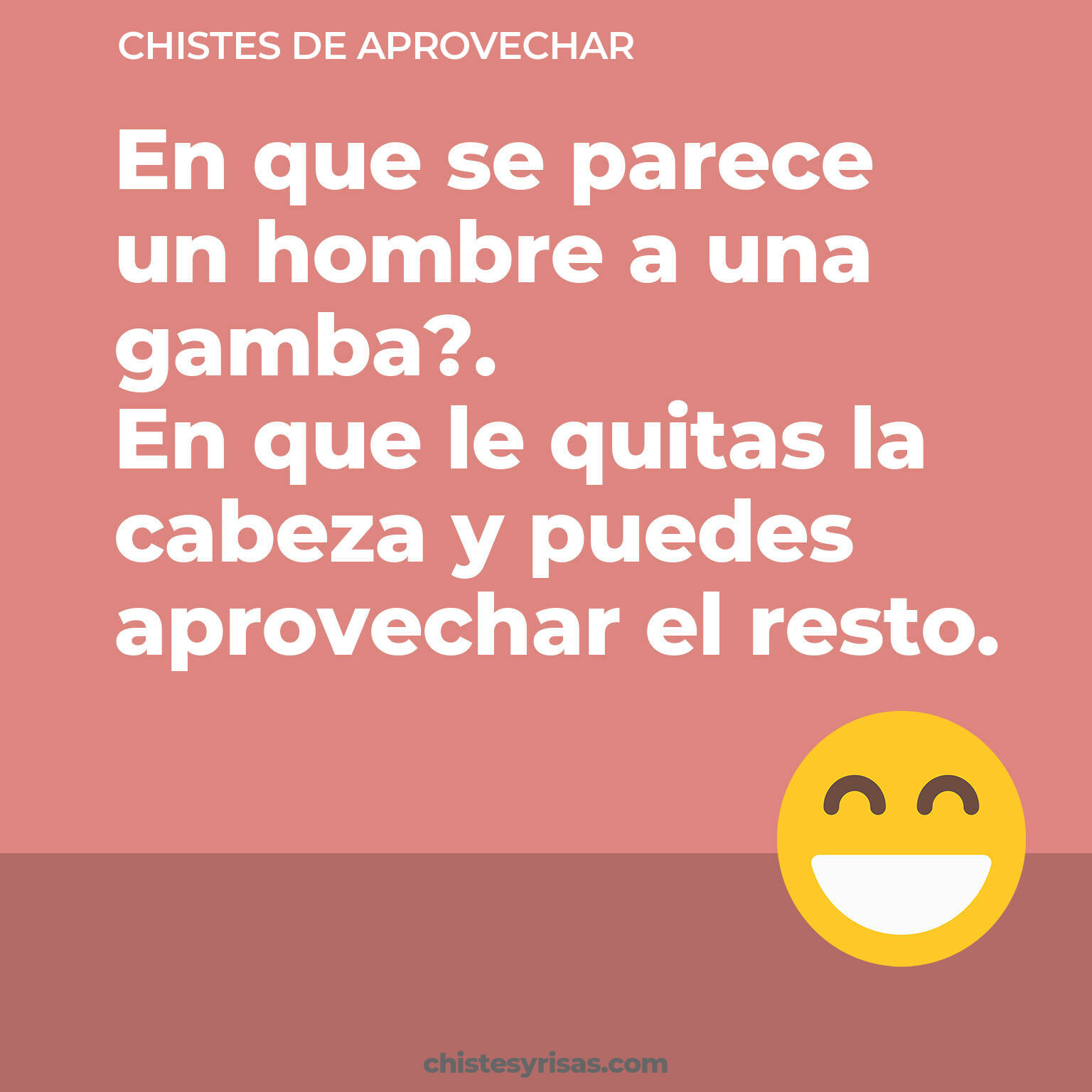 chistes de Aprovechar buenos