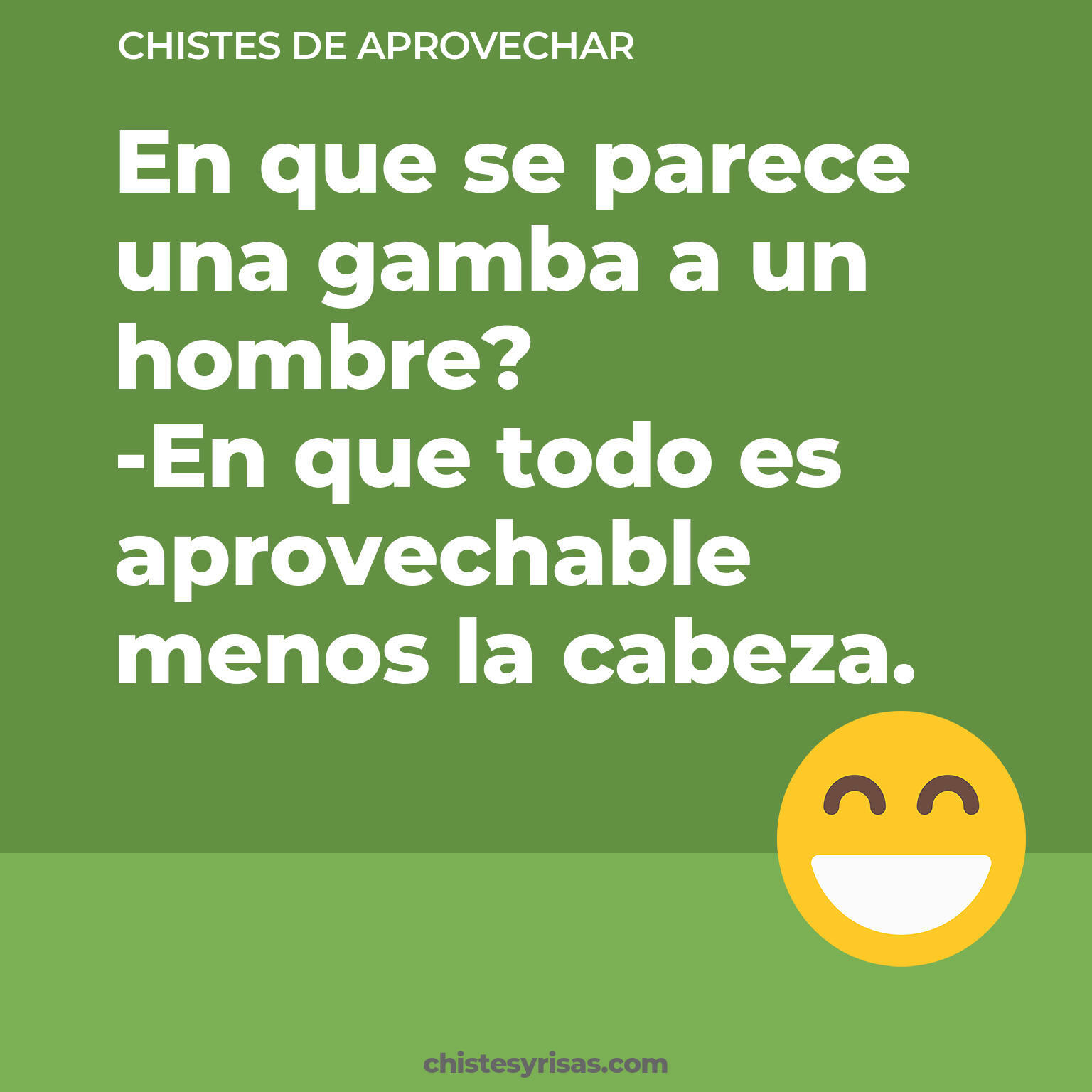 chistes de Aprovechar más graciosos