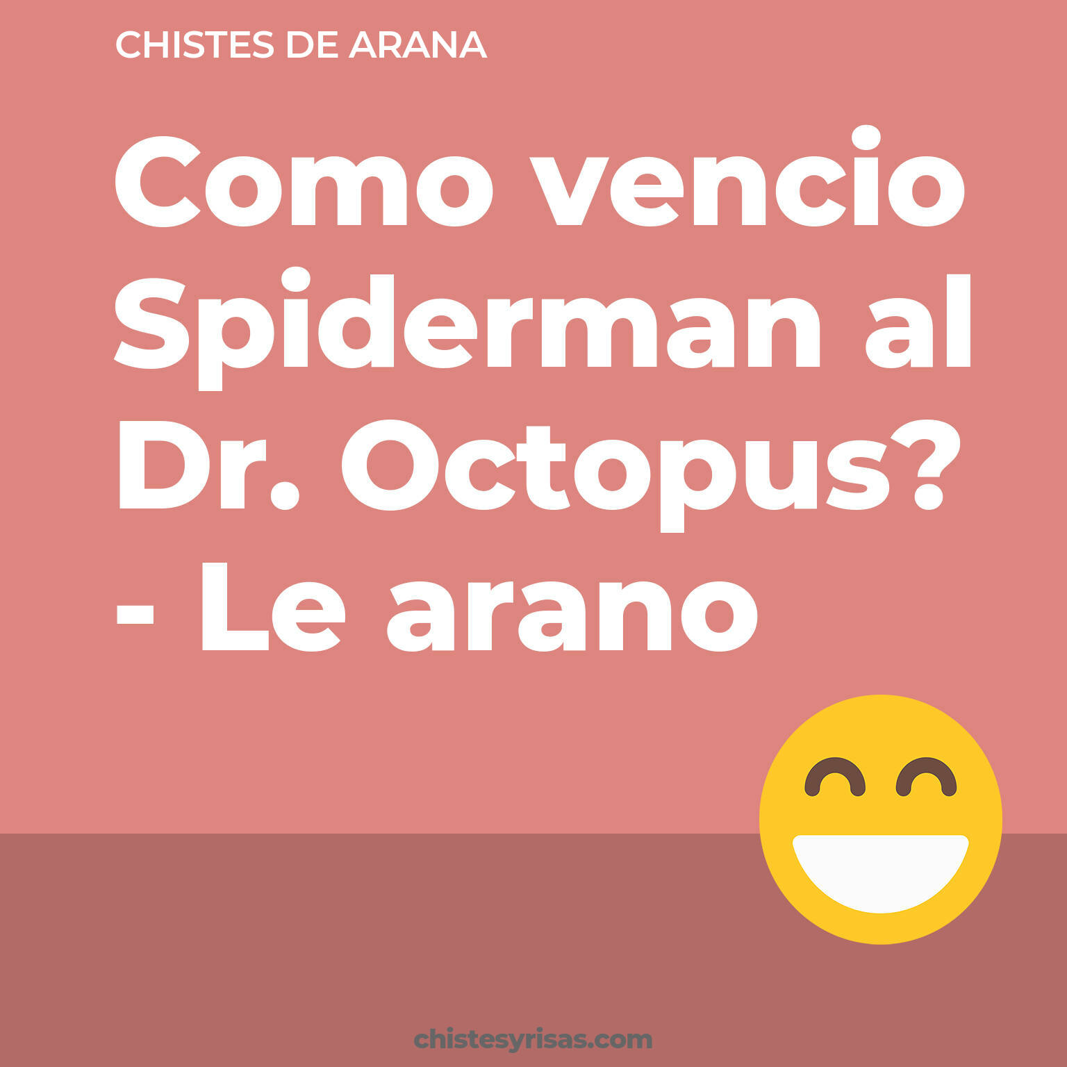 chistes de Arana más graciosos