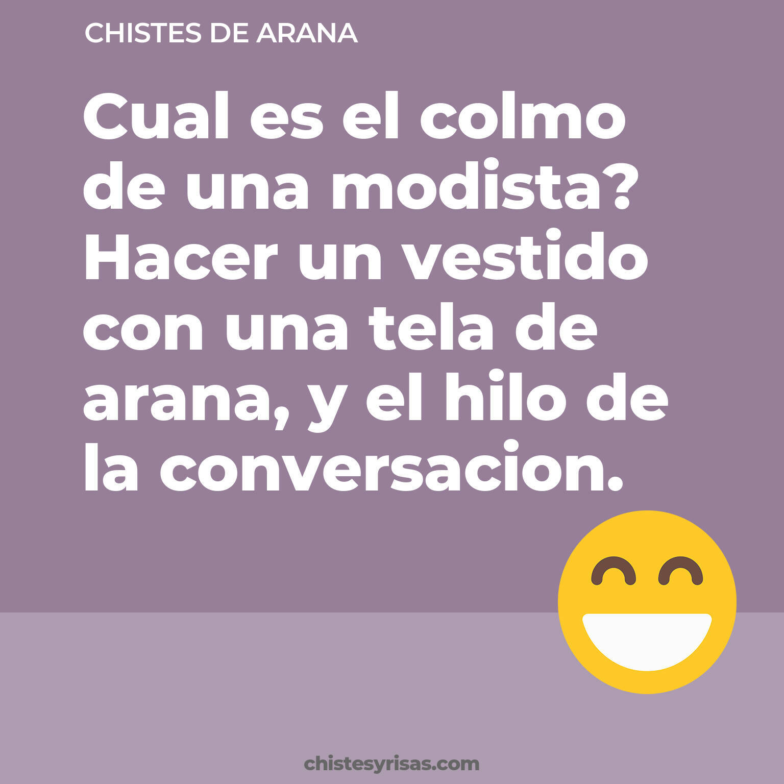 chistes de Arana buenos