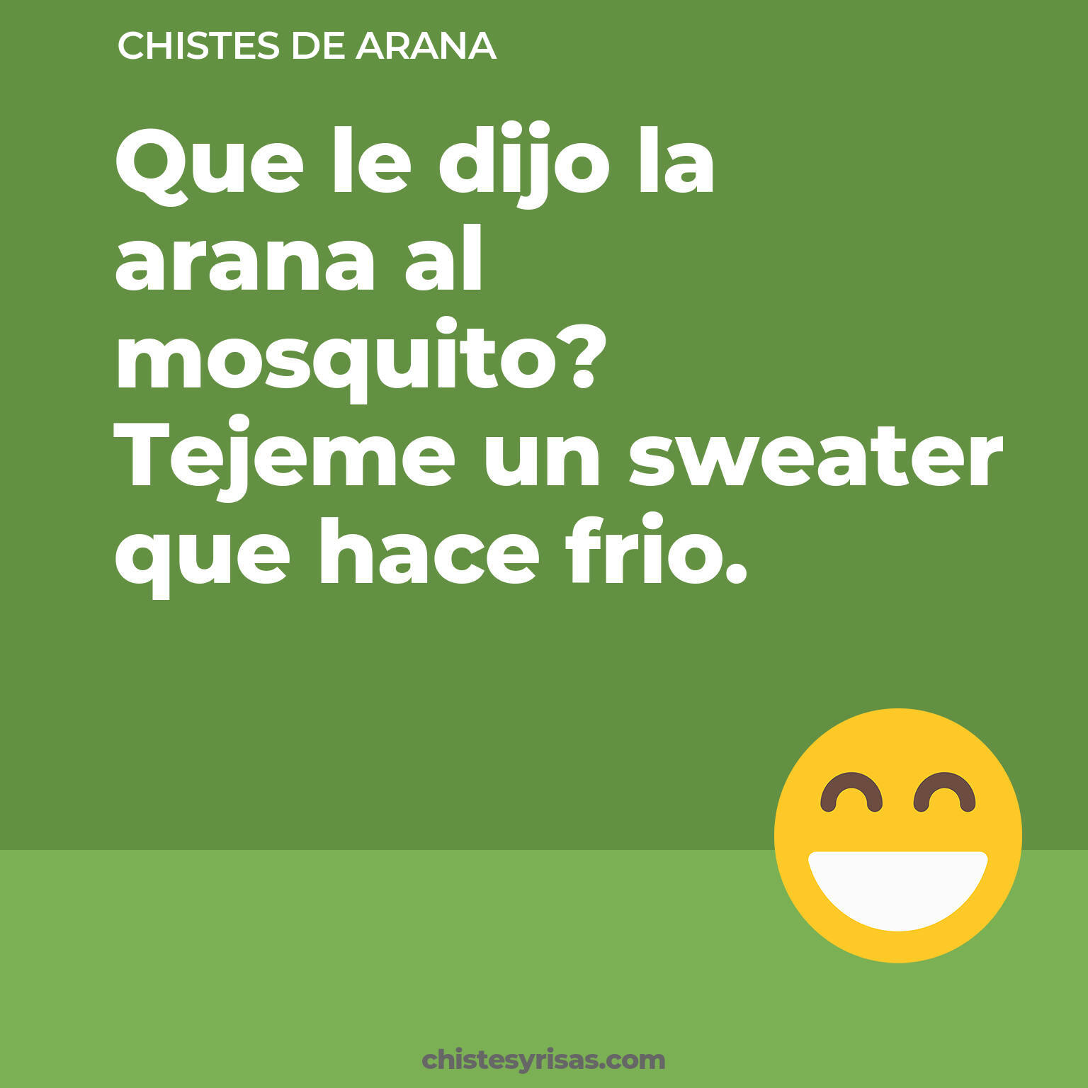 chistes de Arana cortos