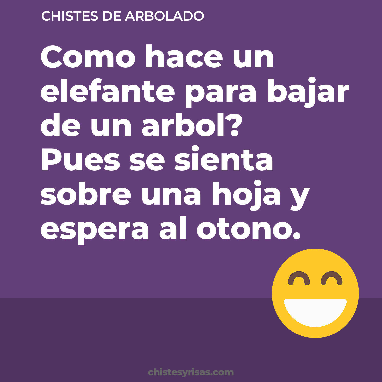 chistes de Arbolado más graciosos