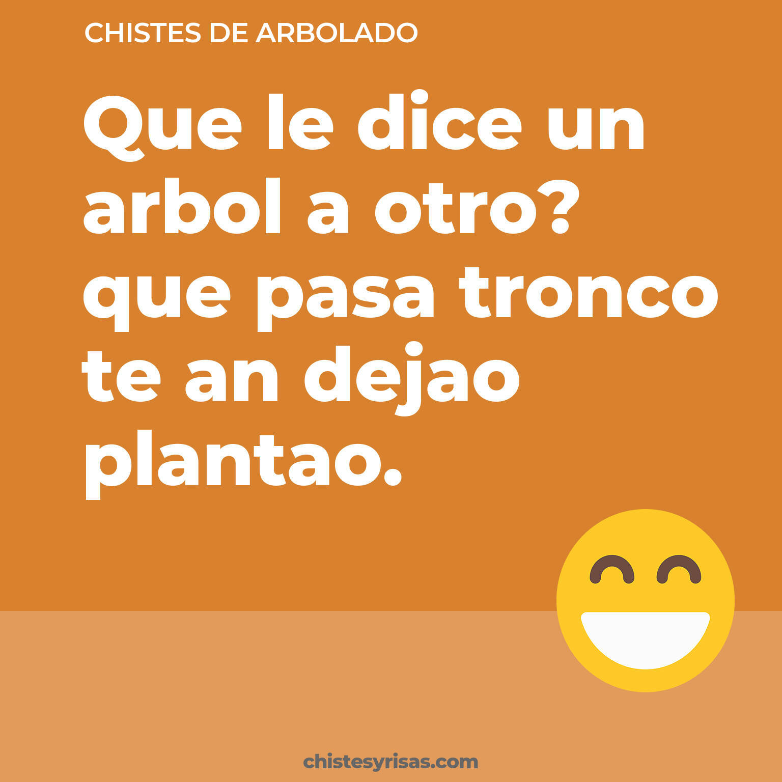 chistes de Arbolado cortos