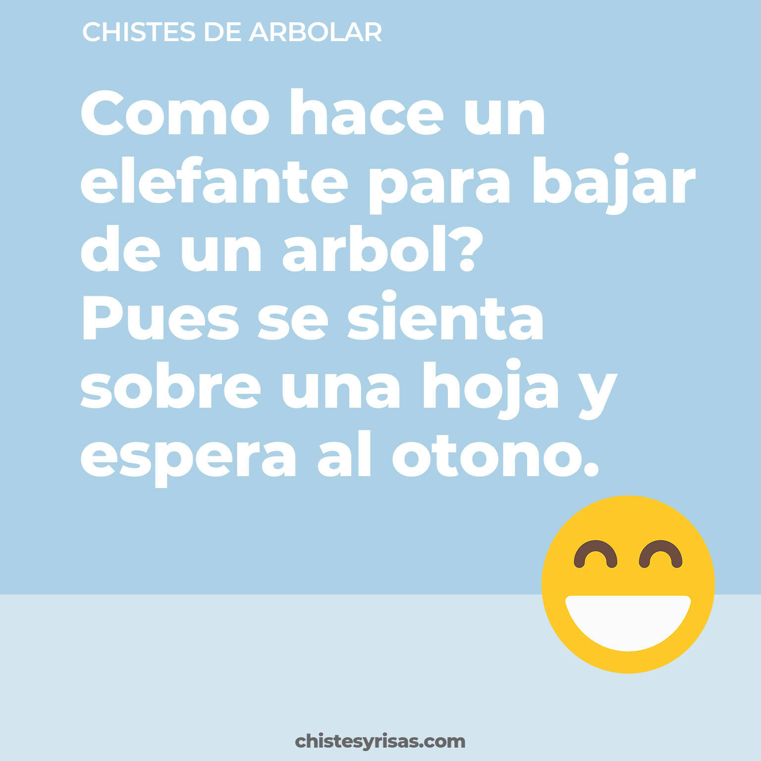 chistes de Arbolar más graciosos