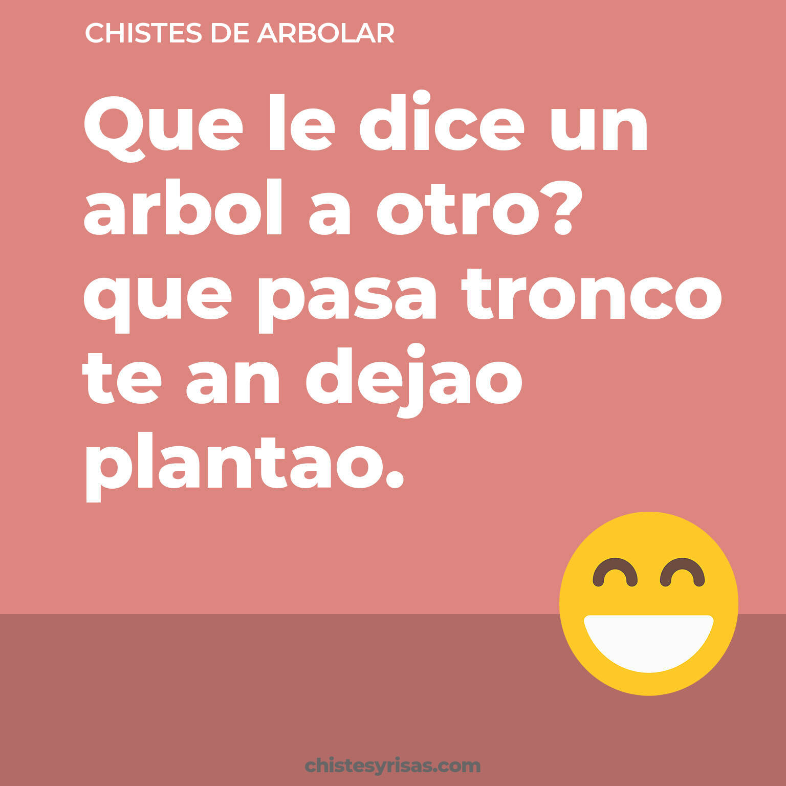 chistes de Arbolar cortos