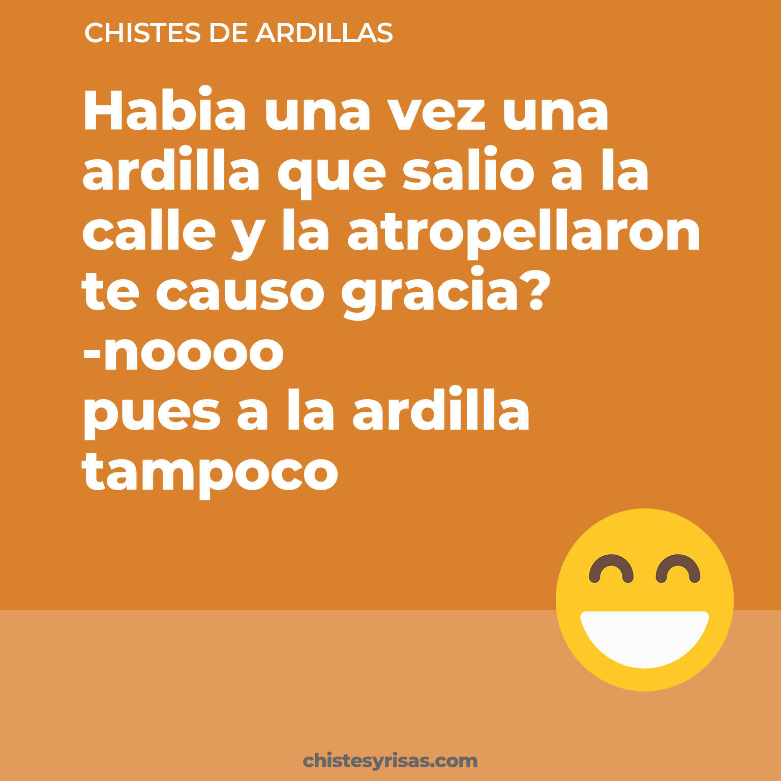 chistes de Ardillas más graciosos