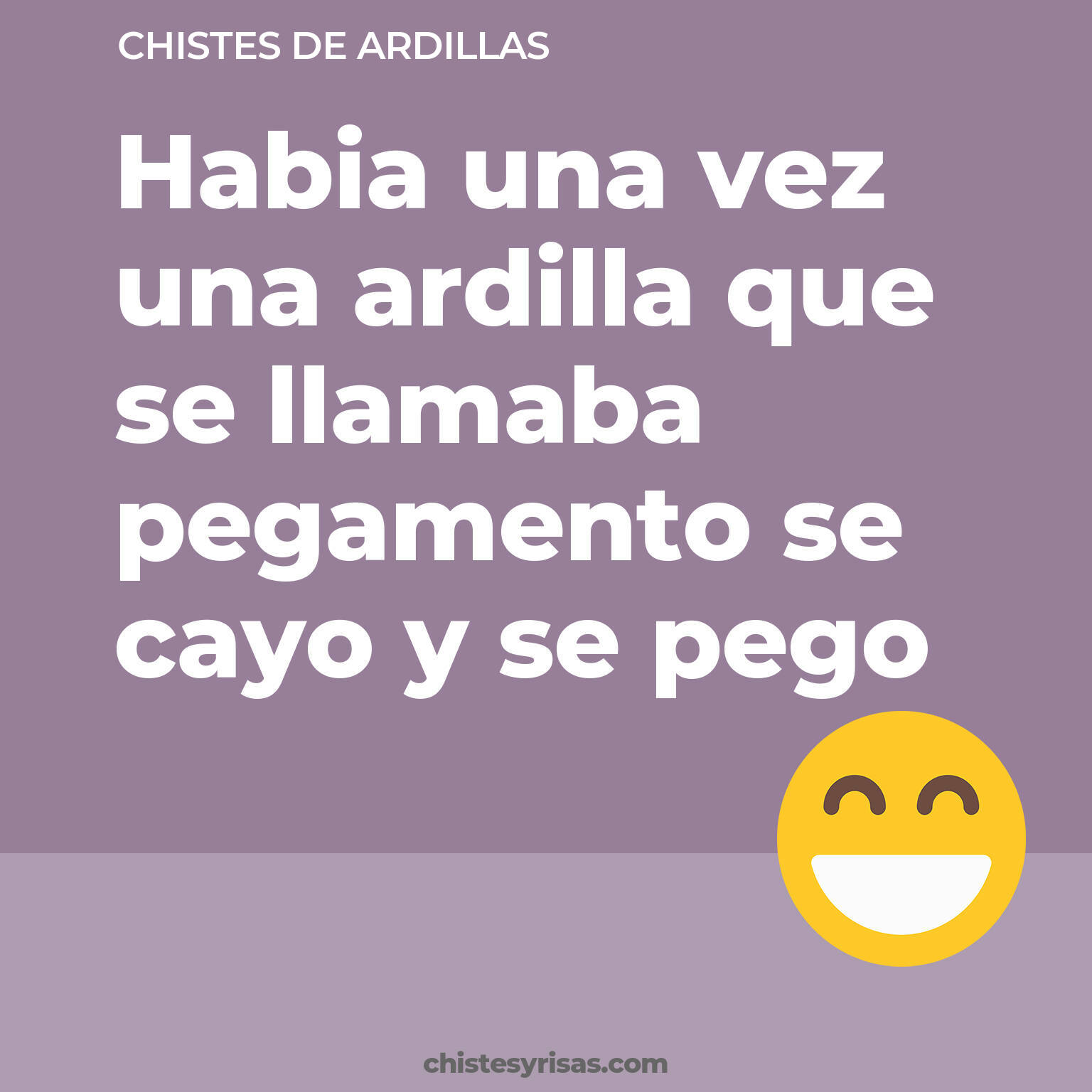 chistes de Ardillas buenos