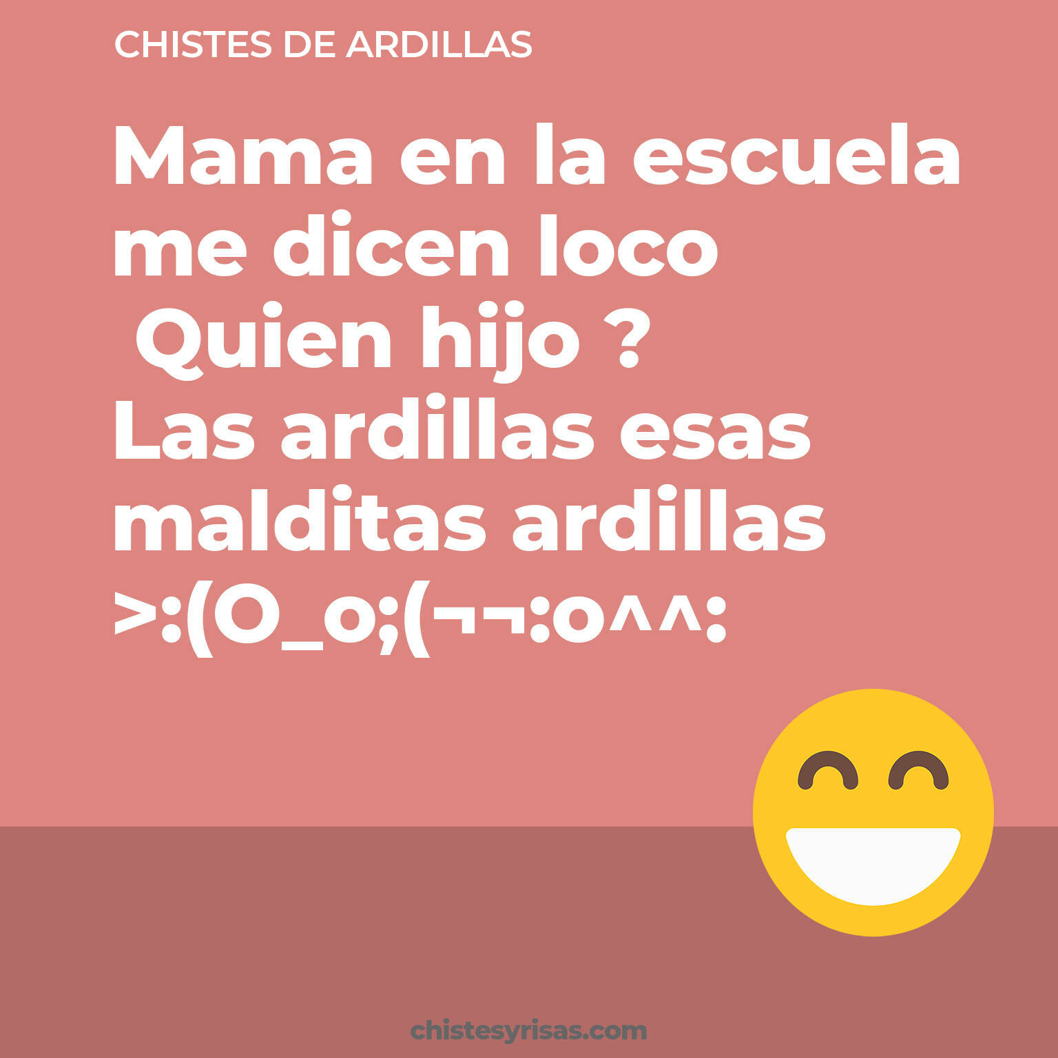 chistes de Ardillas cortos