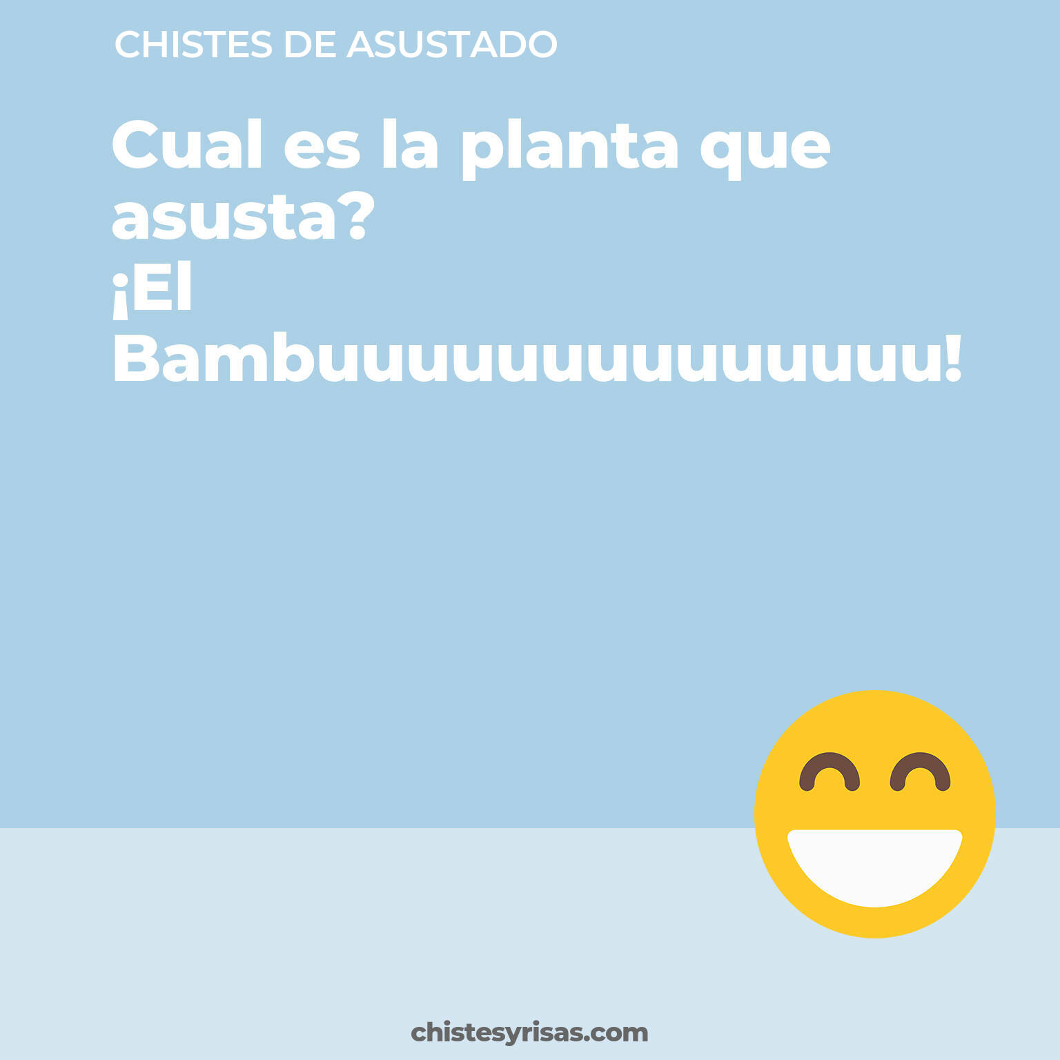 chistes de Asustado más graciosos