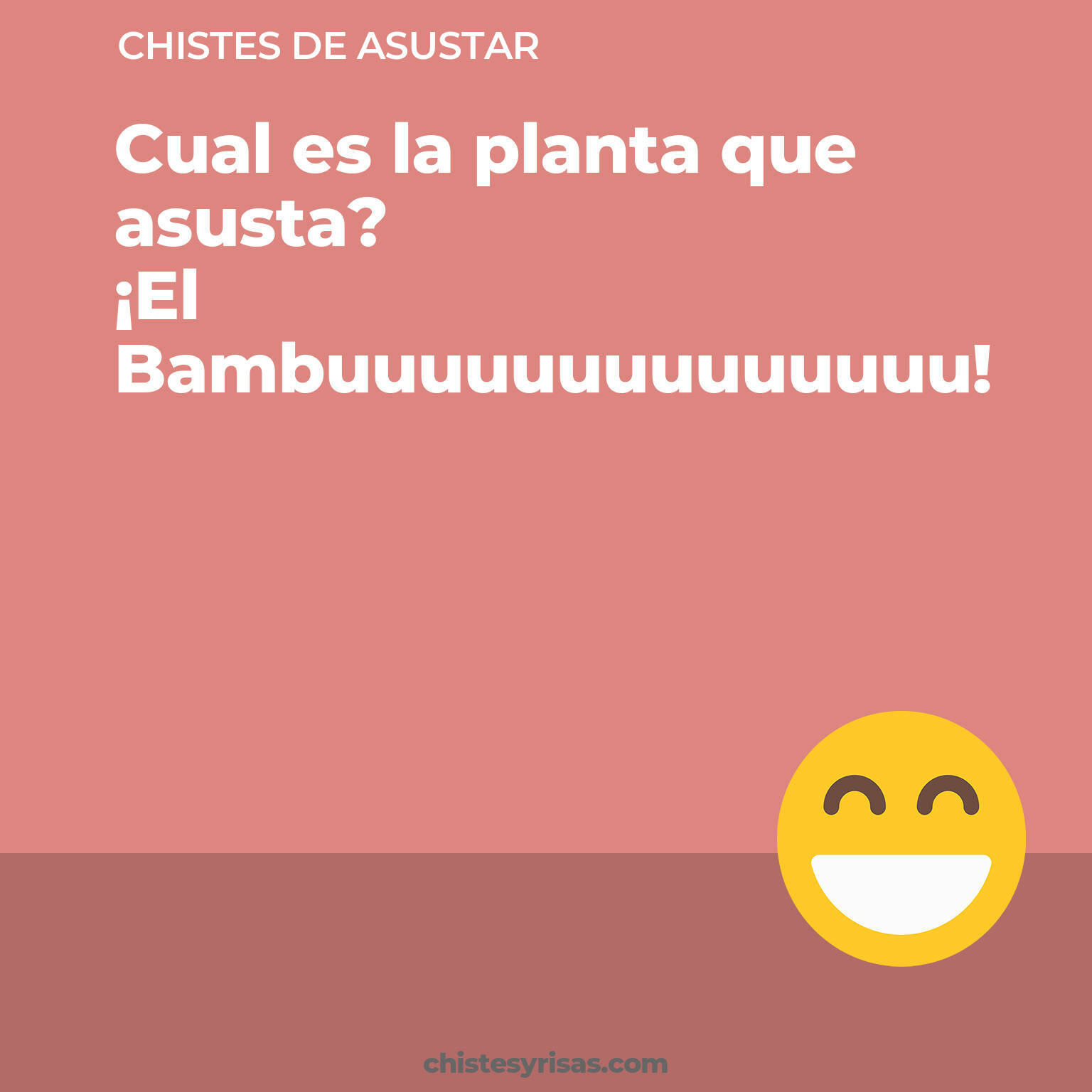 chistes de Asustar más graciosos