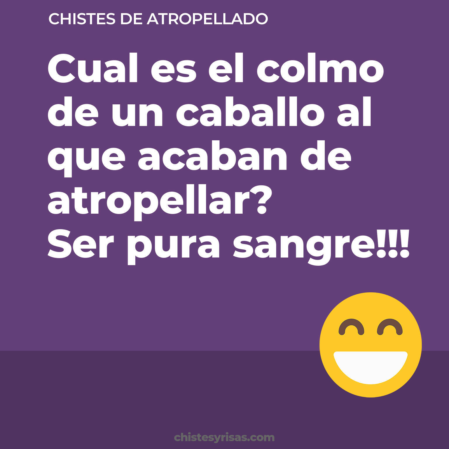 chistes de Atropellado más graciosos