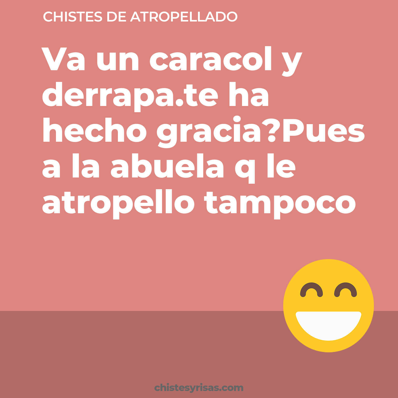 chistes de Atropellado buenos