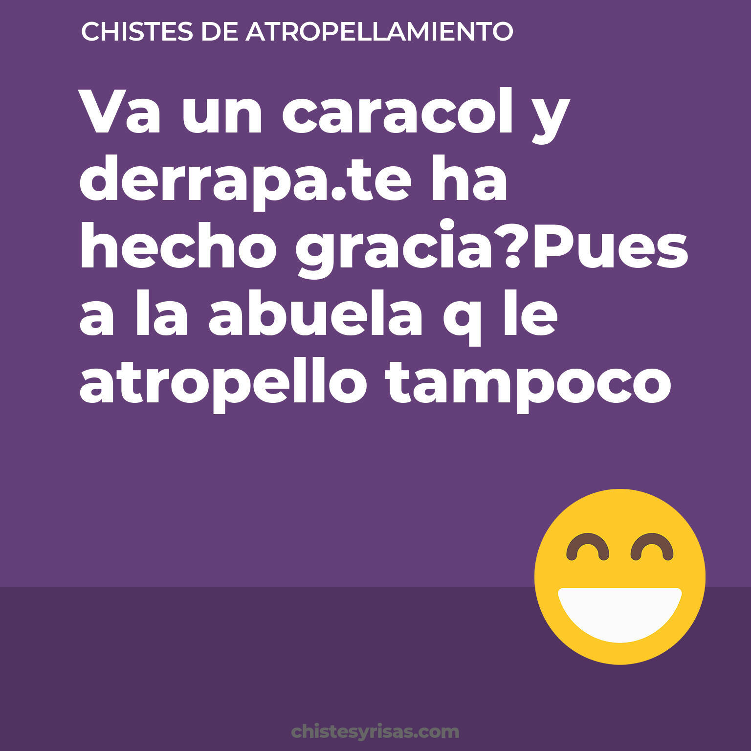 chistes de Atropellamiento buenos