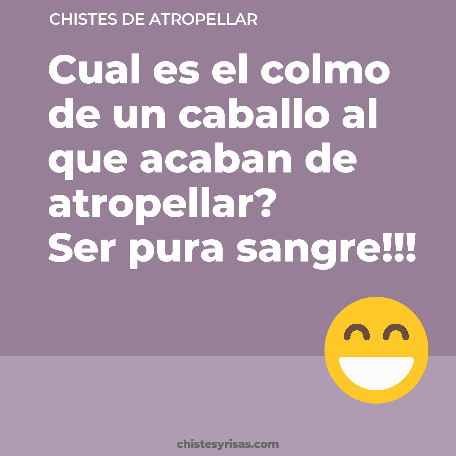 chistes de Atropellar más graciosos