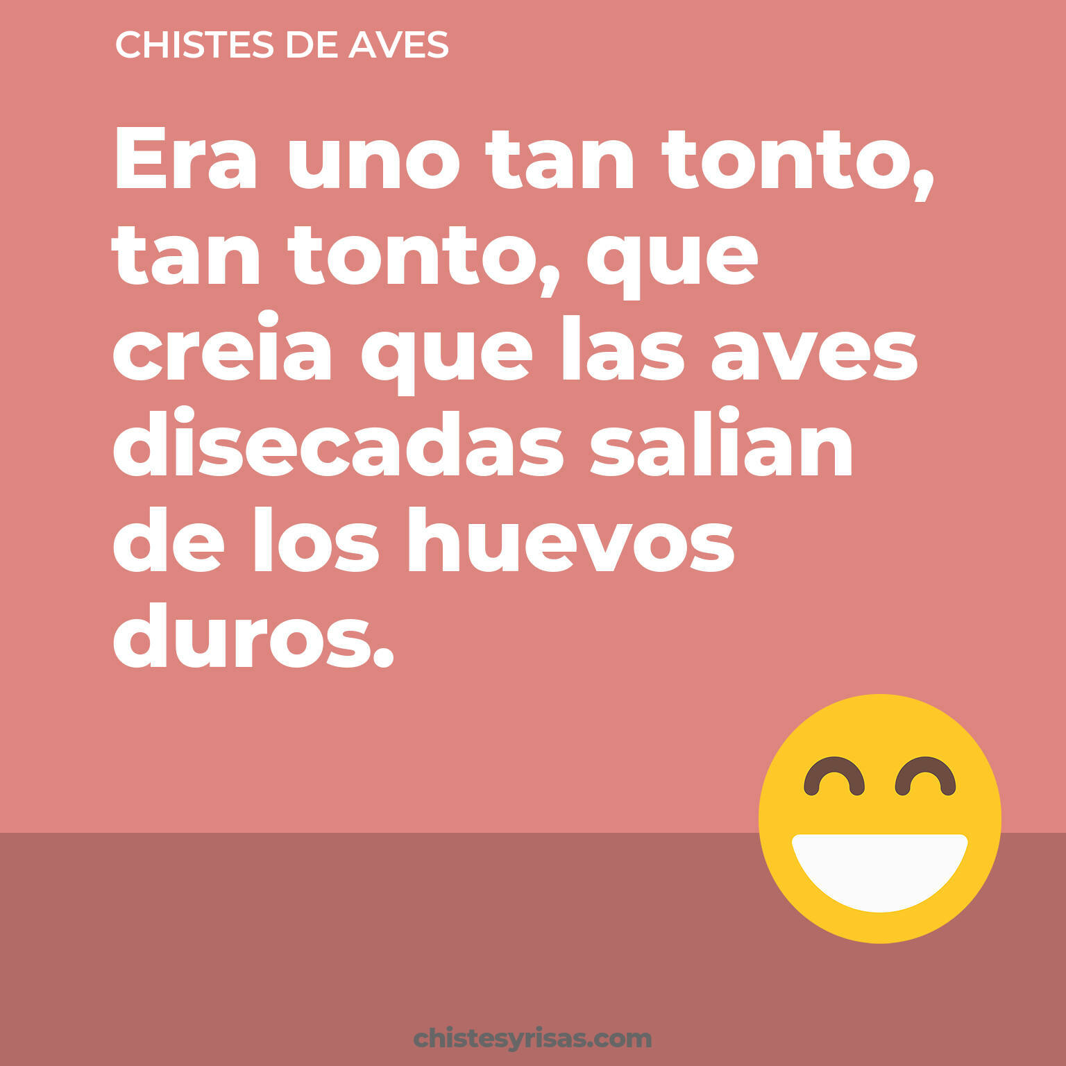 chistes de Aves buenos