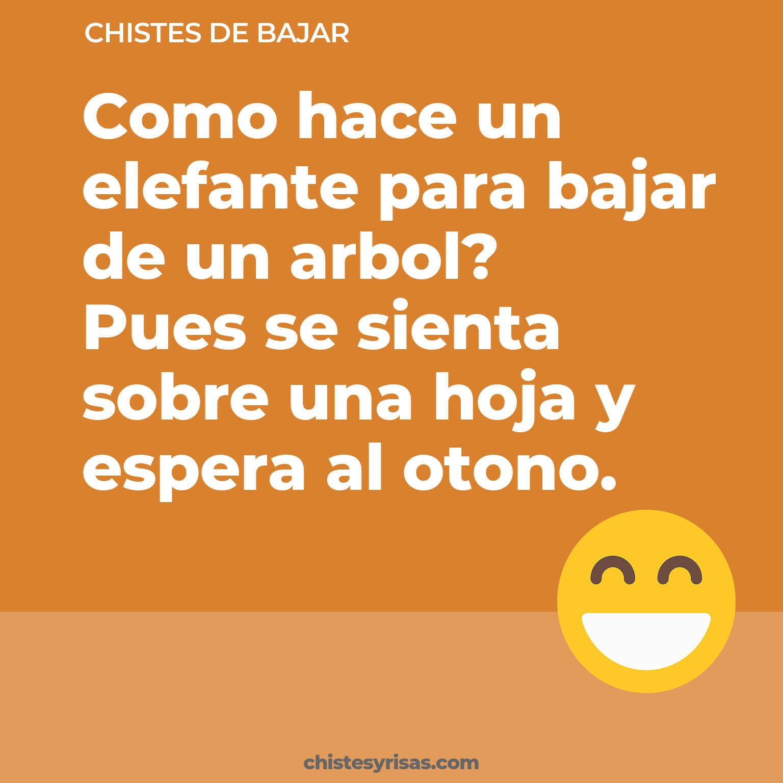 chistes de Bajar buenos