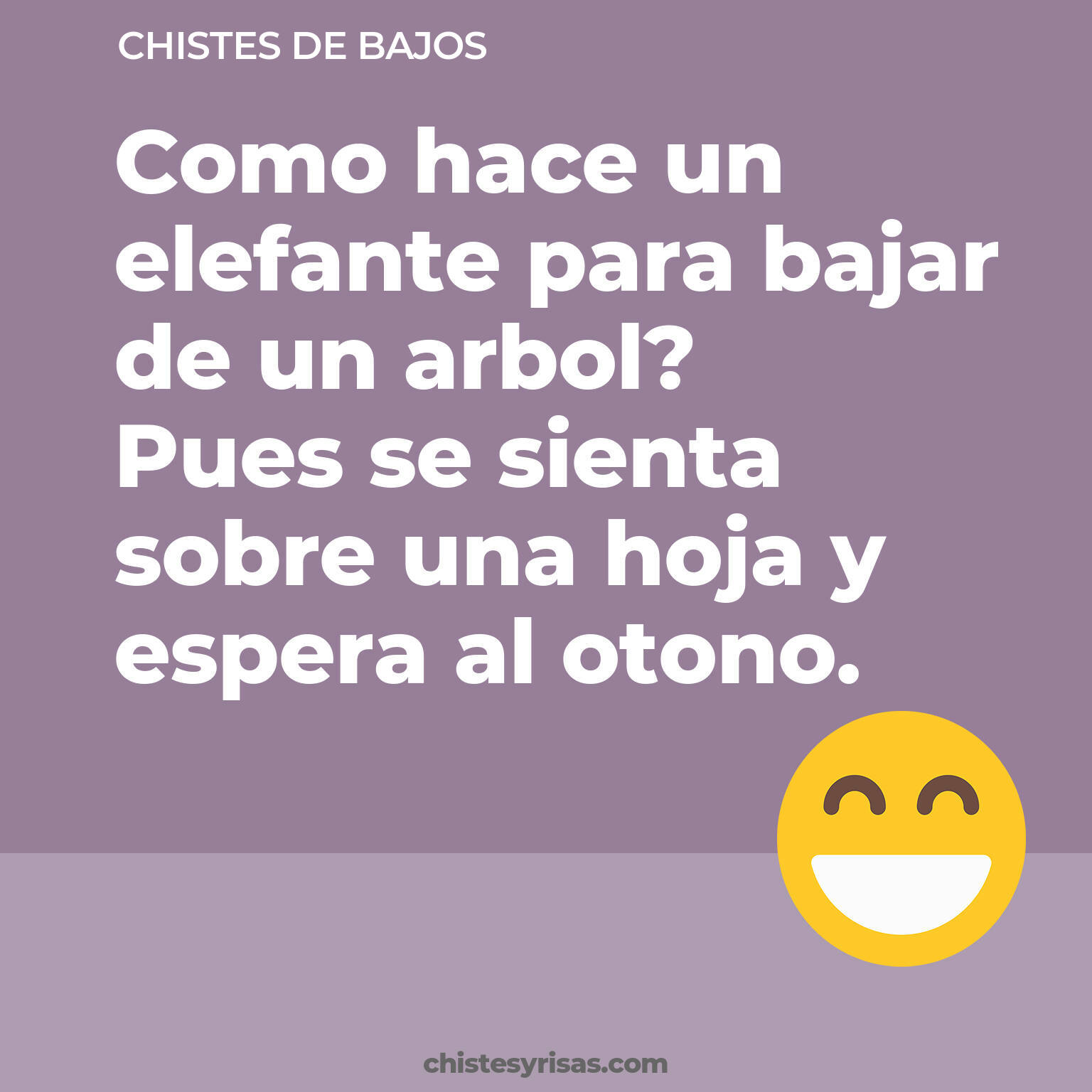 chistes de Bajos buenos foto para reir