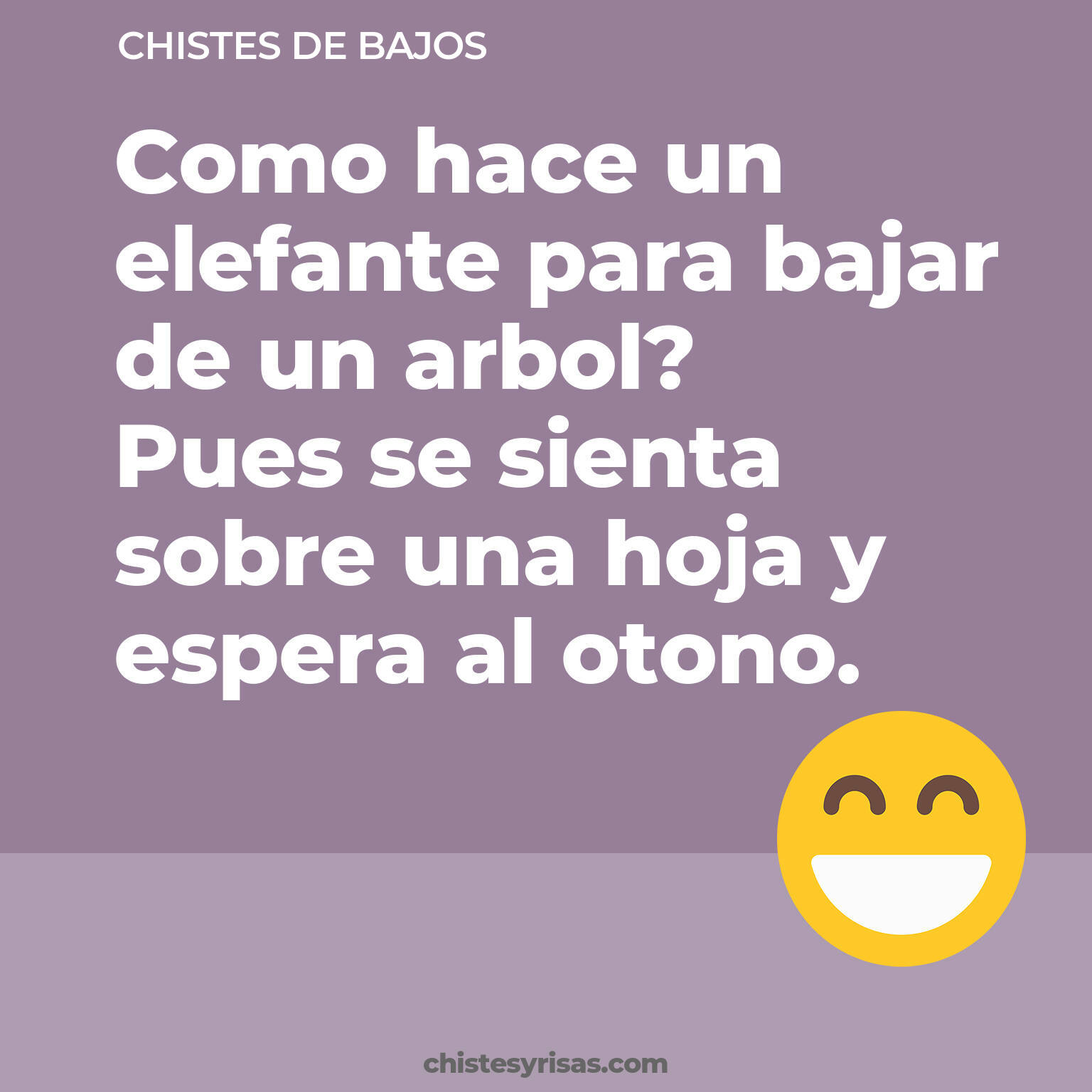 chistes de Bajos buenos