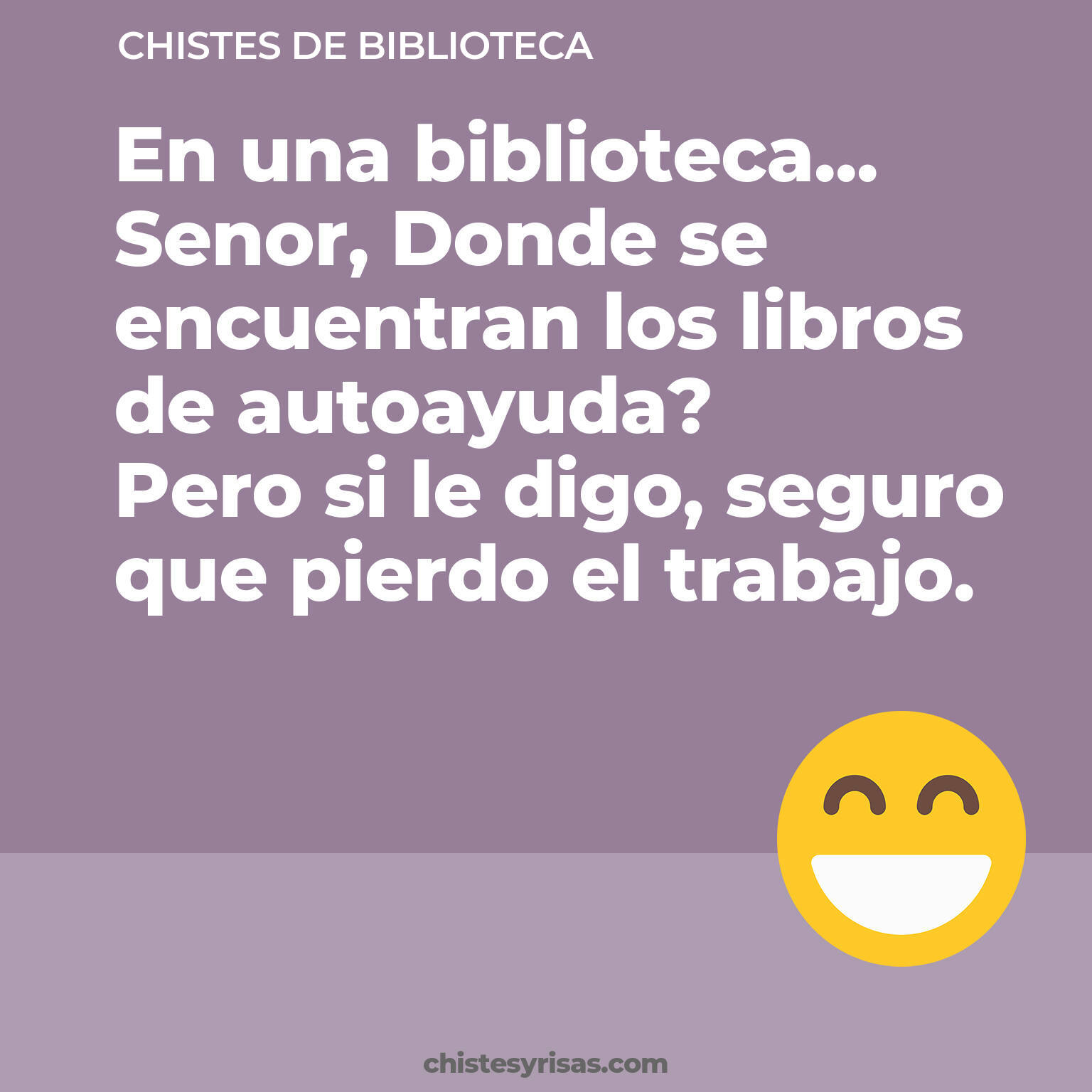 chistes de Biblioteca más graciosos