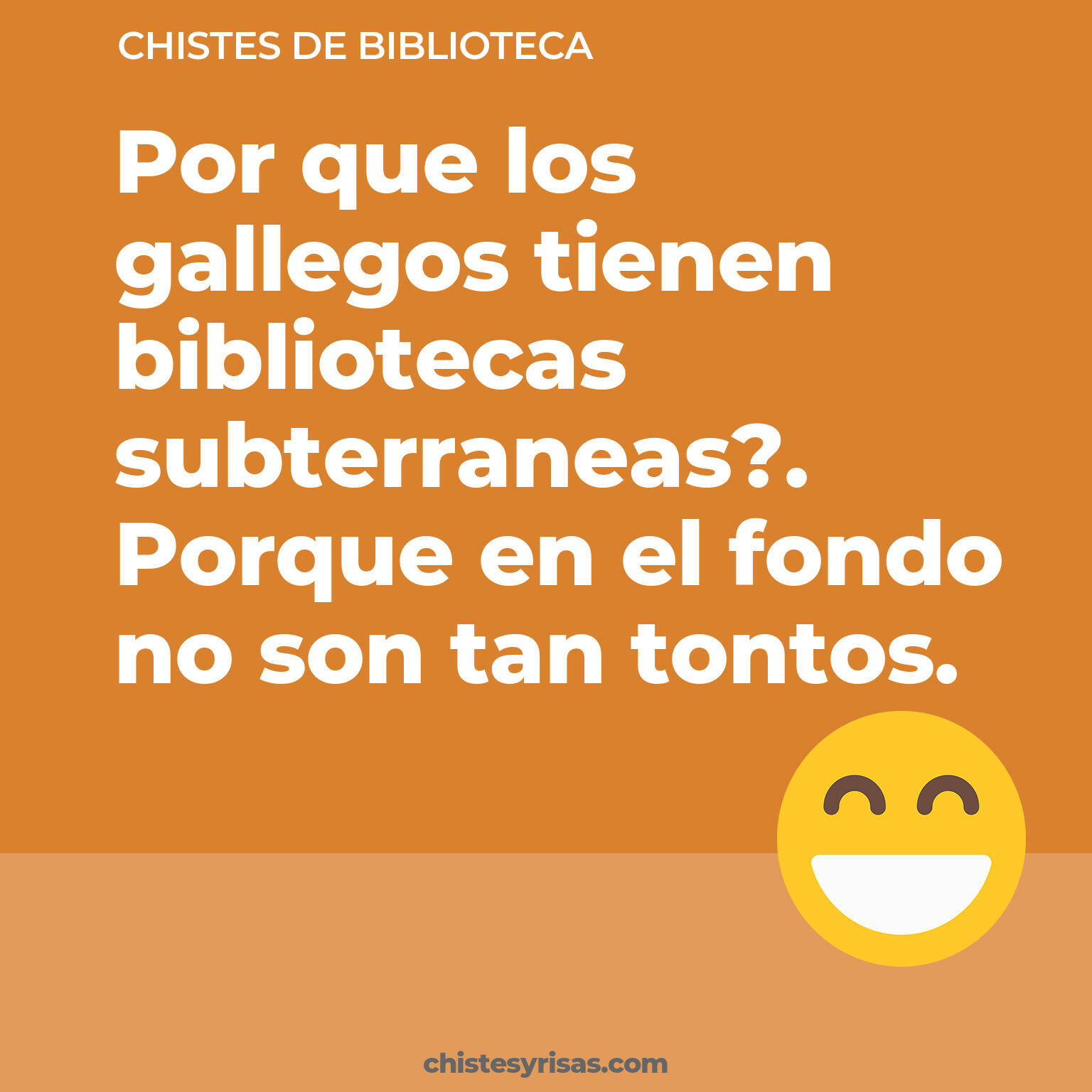 chistes de Biblioteca buenos