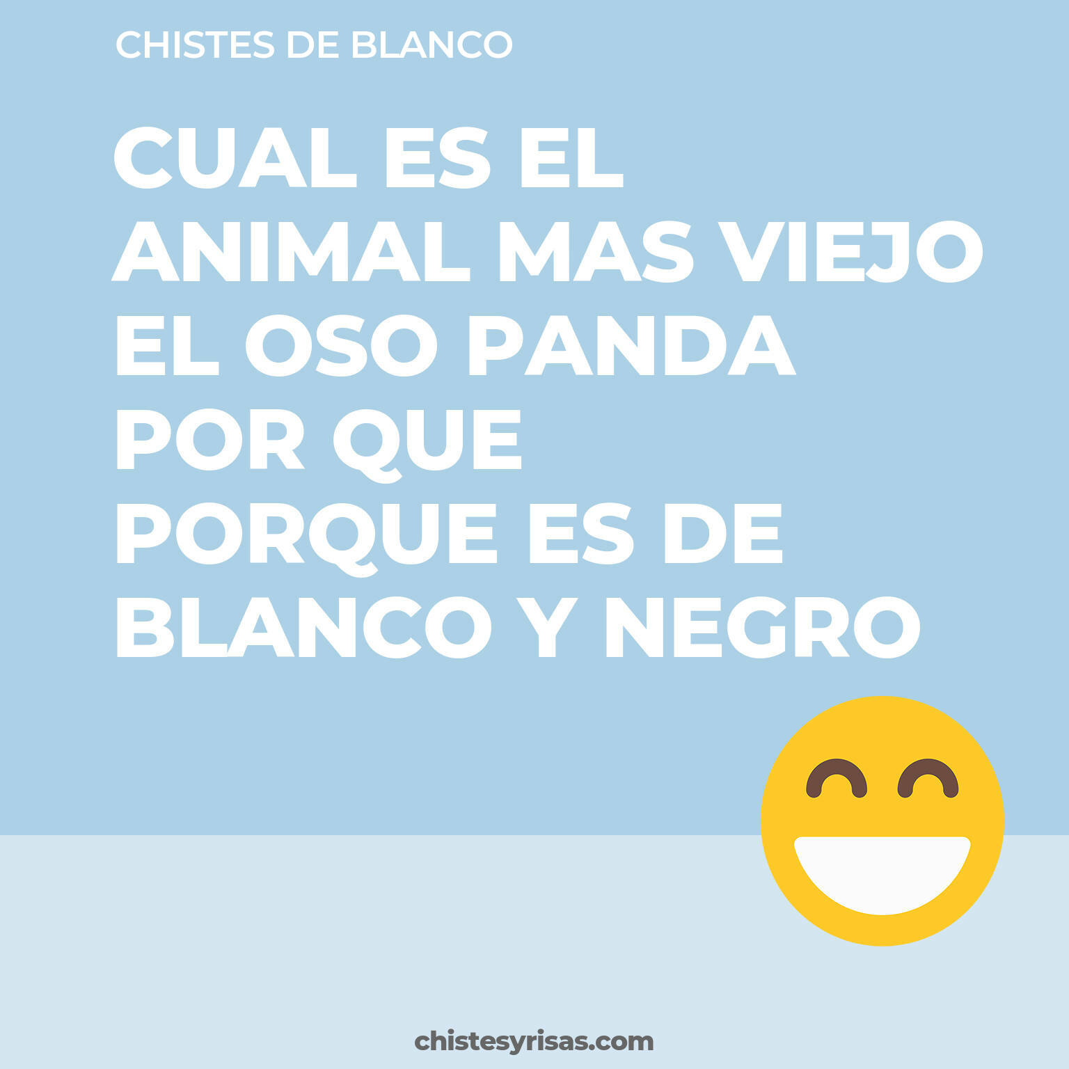 chistes de Blanco cortos