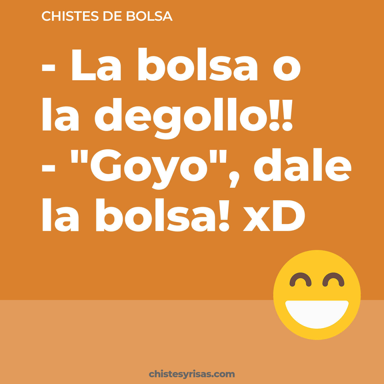 chistes de Bolsa cortos