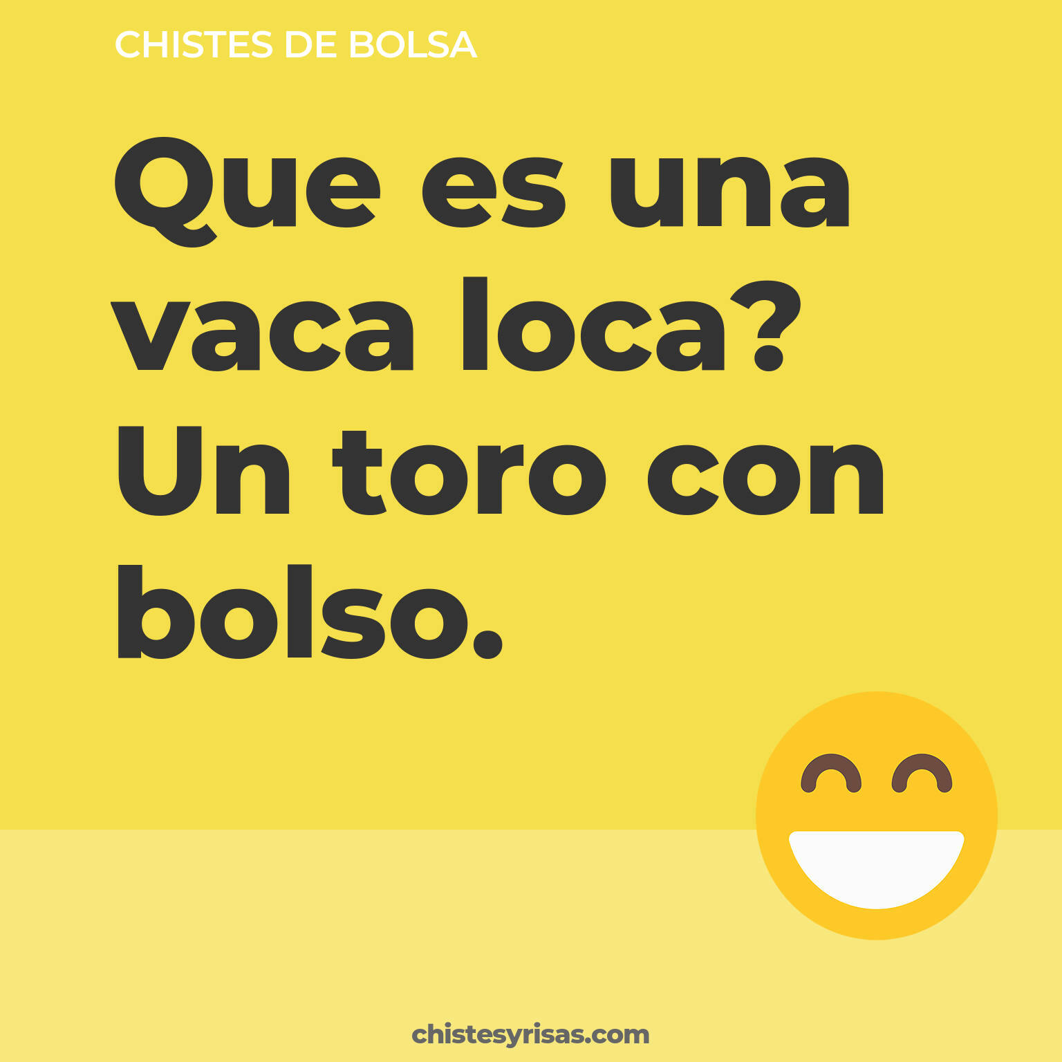 chistes de Bolsa más graciosos