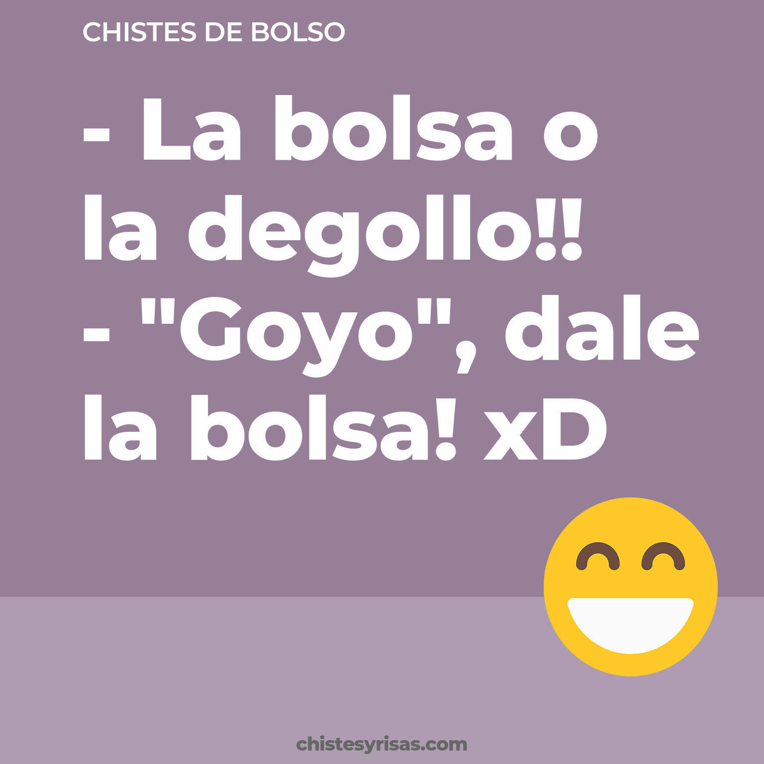 chistes de Bolso cortos