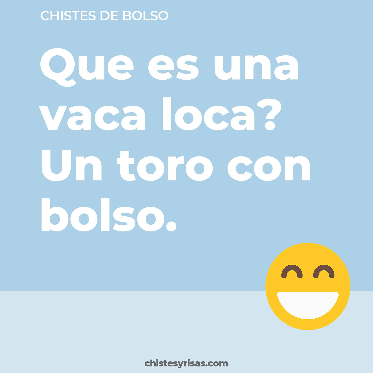 chistes de Bolso más graciosos