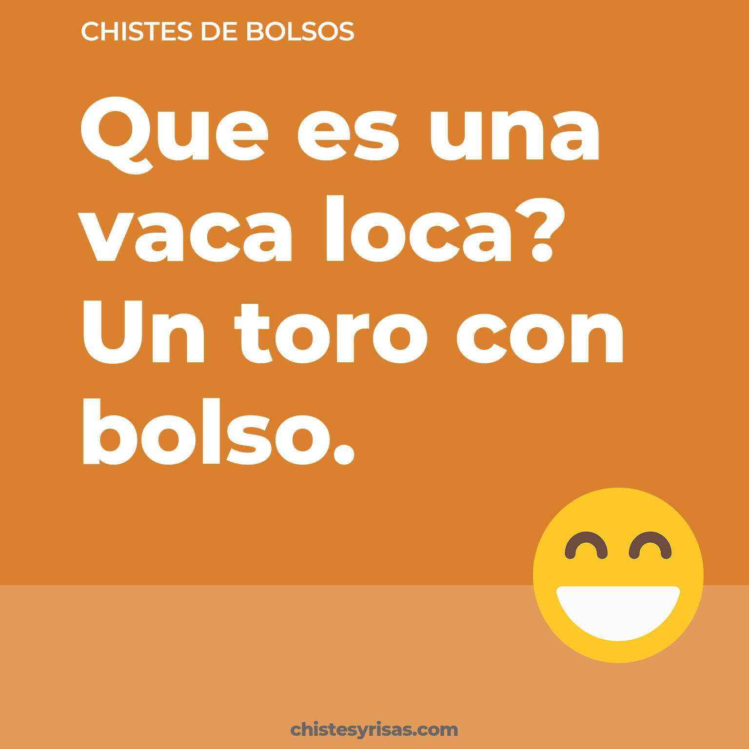 chistes de Bolsos más graciosos